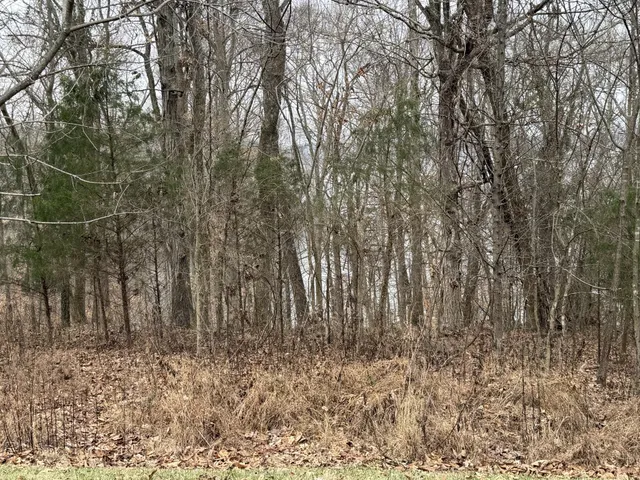 $19,000 | 0 Crystal Creek Circle, Cadiz, KY 42211