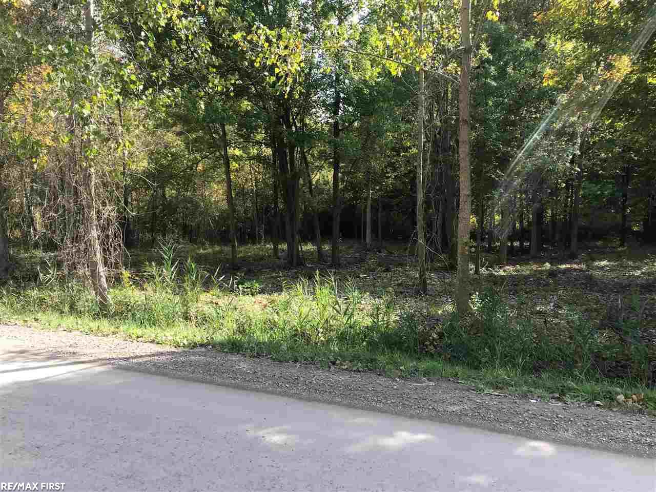 25 25 Mile Road New Baltimore, MI 48047 - Photo 1 of 3