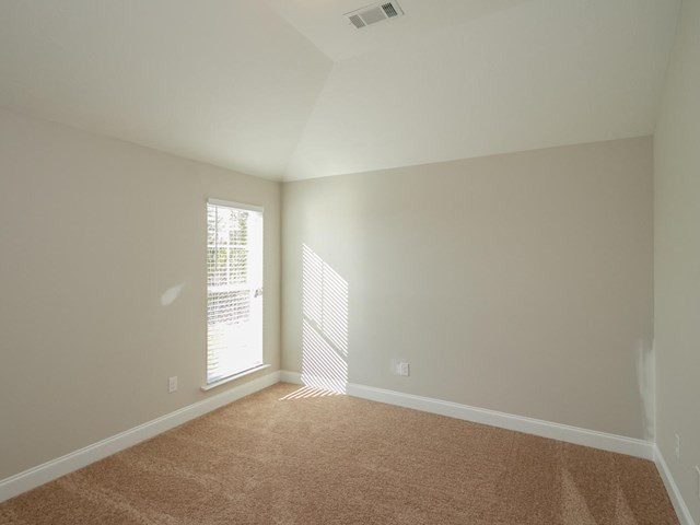 232 Prairie Clover Run Aiken, SC 29803 - Photo 16 of 19
