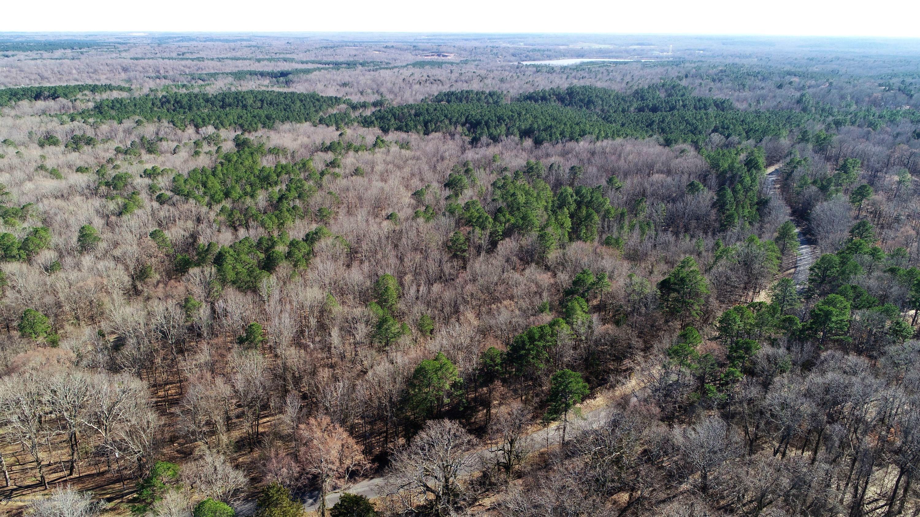 0 Oak Grove Road Oakland, MS 38948 - Photo 8 of 49 DCIM\100MEDIA\DJI_0617.JPG