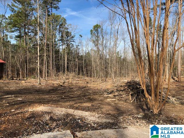 1919 Mt Gilead Road, Unit 9 21 Jacksonville, AL 36265 - Photo 31 of 39