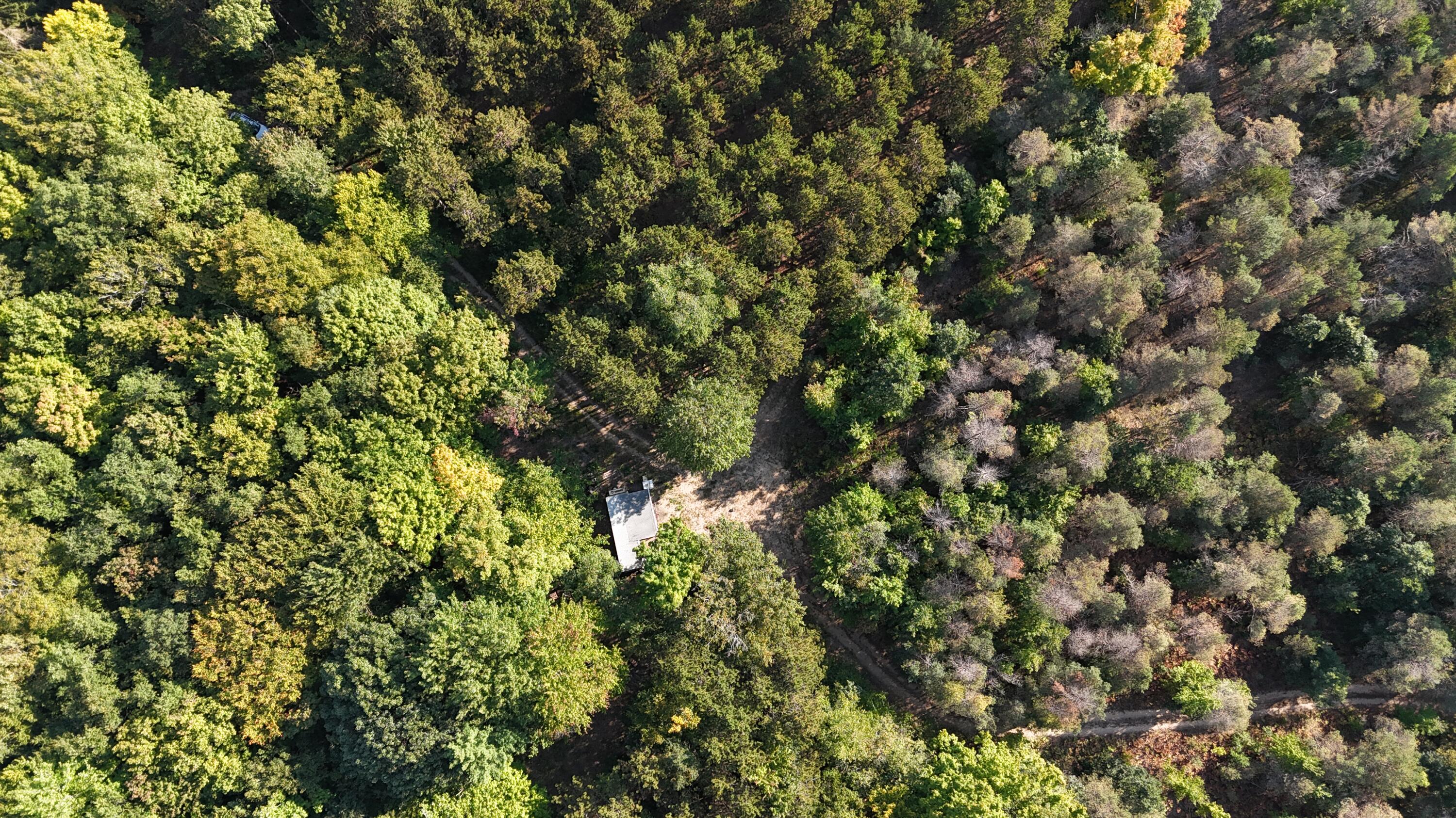 17688 17 Mile Road Leroy, MI 49655 - Photo 11 of 13 15 acres of wooded oasis