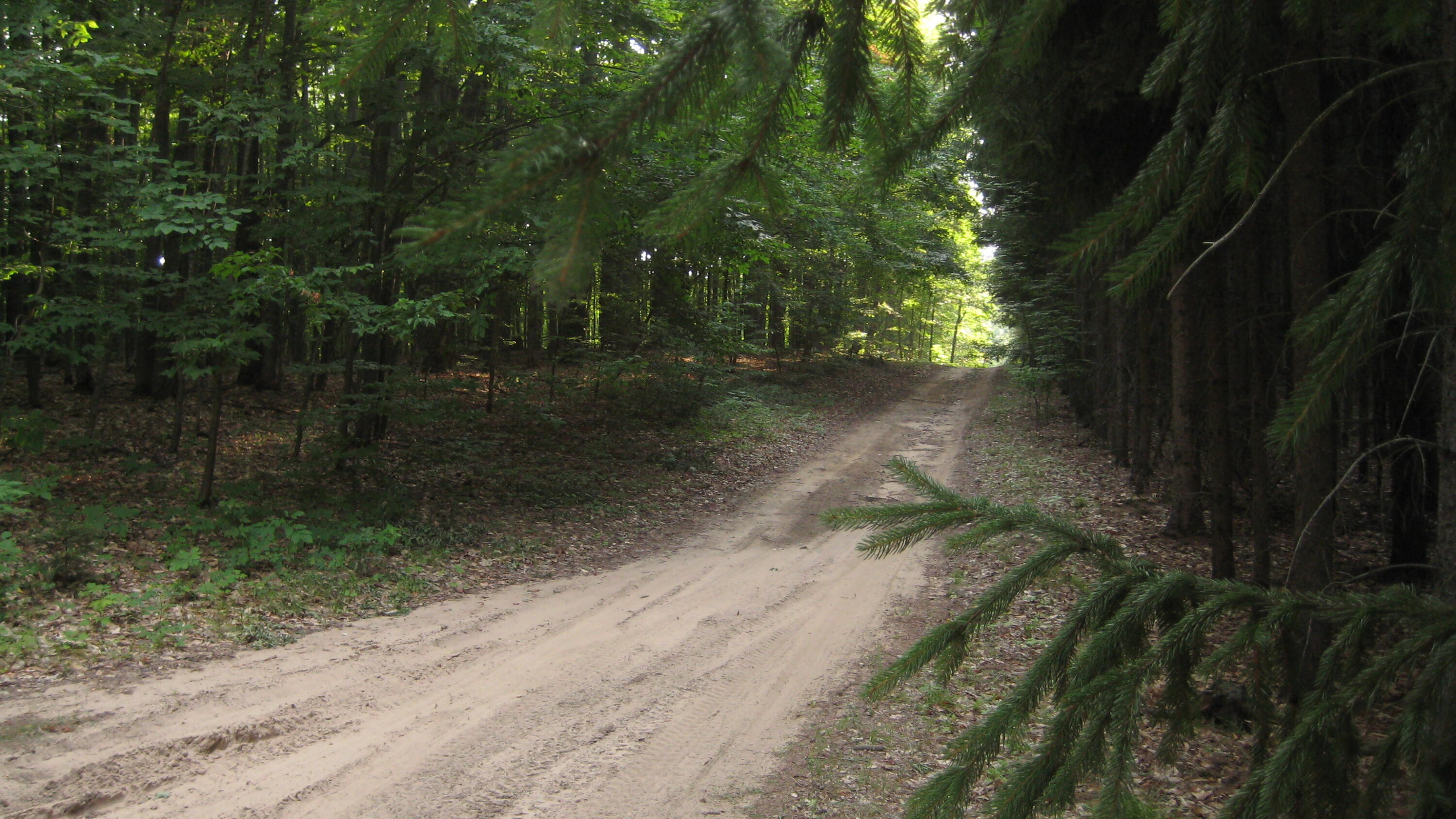 17688 17 Mile Road Leroy, MI 49655 - Photo 13 of 13 vacances USA 2008 037