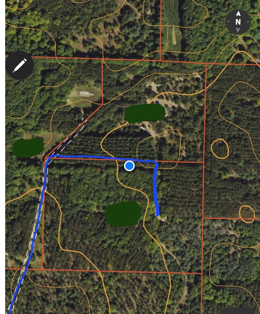 17688 17 Mile Road Leroy, MI 49655 - Photo 4 of 13 15 acres of wooded oasis