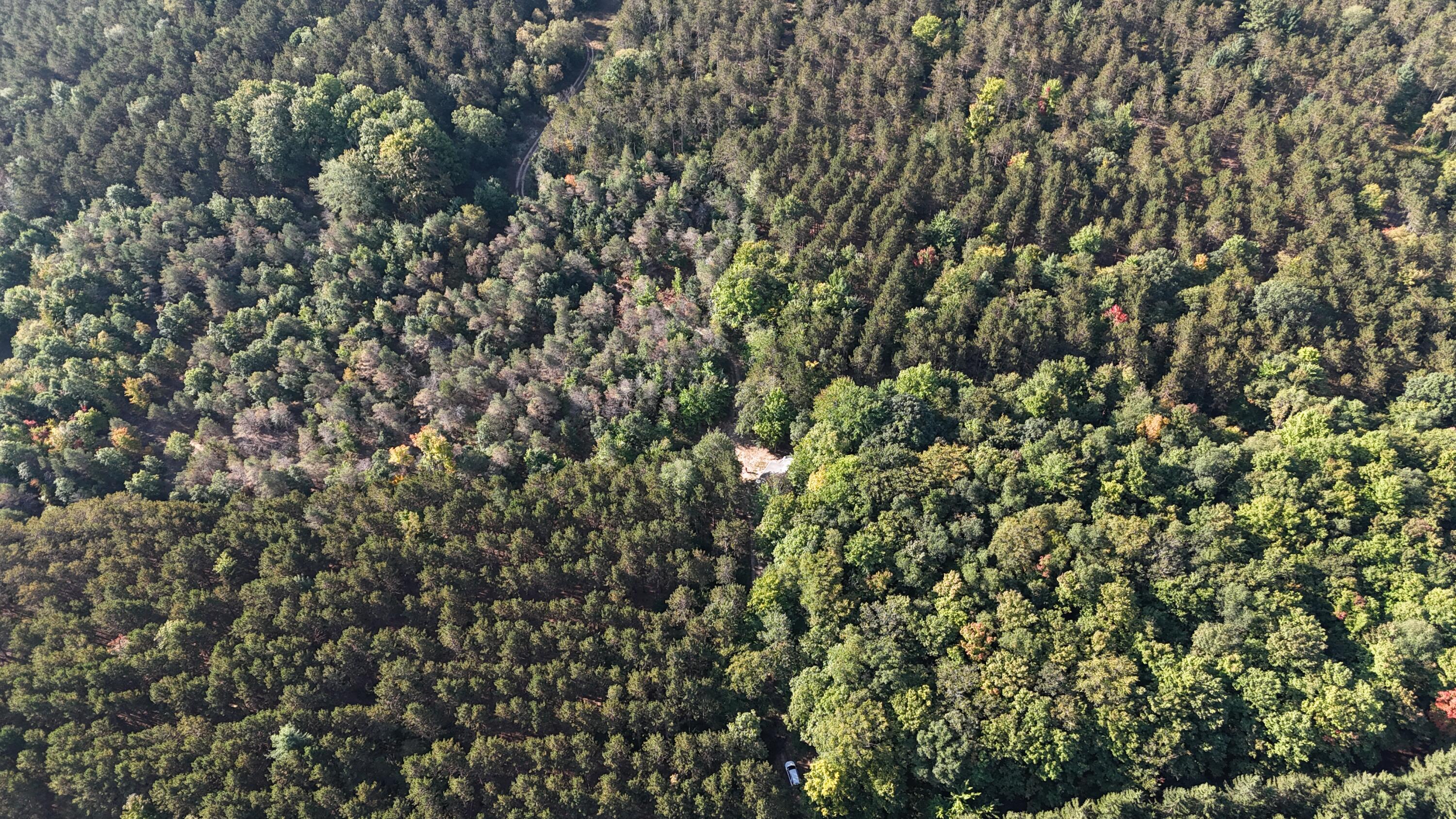 17688 17 Mile Road Leroy, MI 49655 - Photo 9 of 13 15 acres of wooded oasis