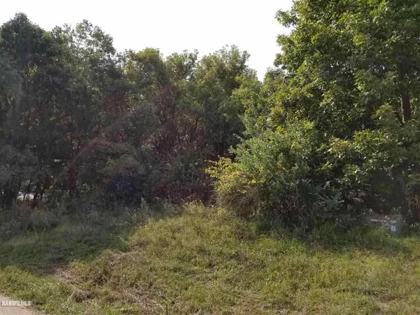 a view of a forest with trees in the background