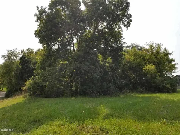 a view of yard with green space