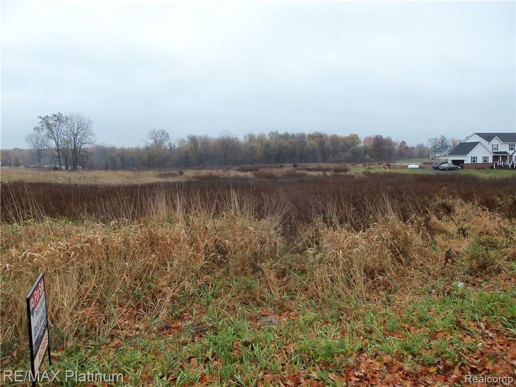 3 Byron Howell, MI 48855 - Photo 2 of 2