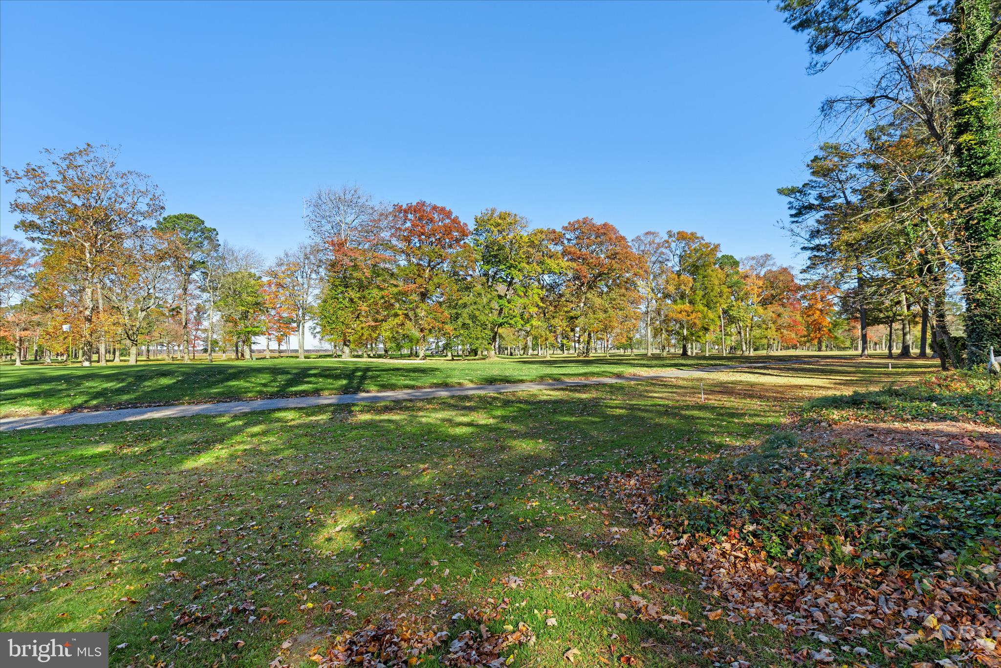 11518 Quillin Way Berlin, MD 21811 - Photo 57 of 65 a view of a golf course