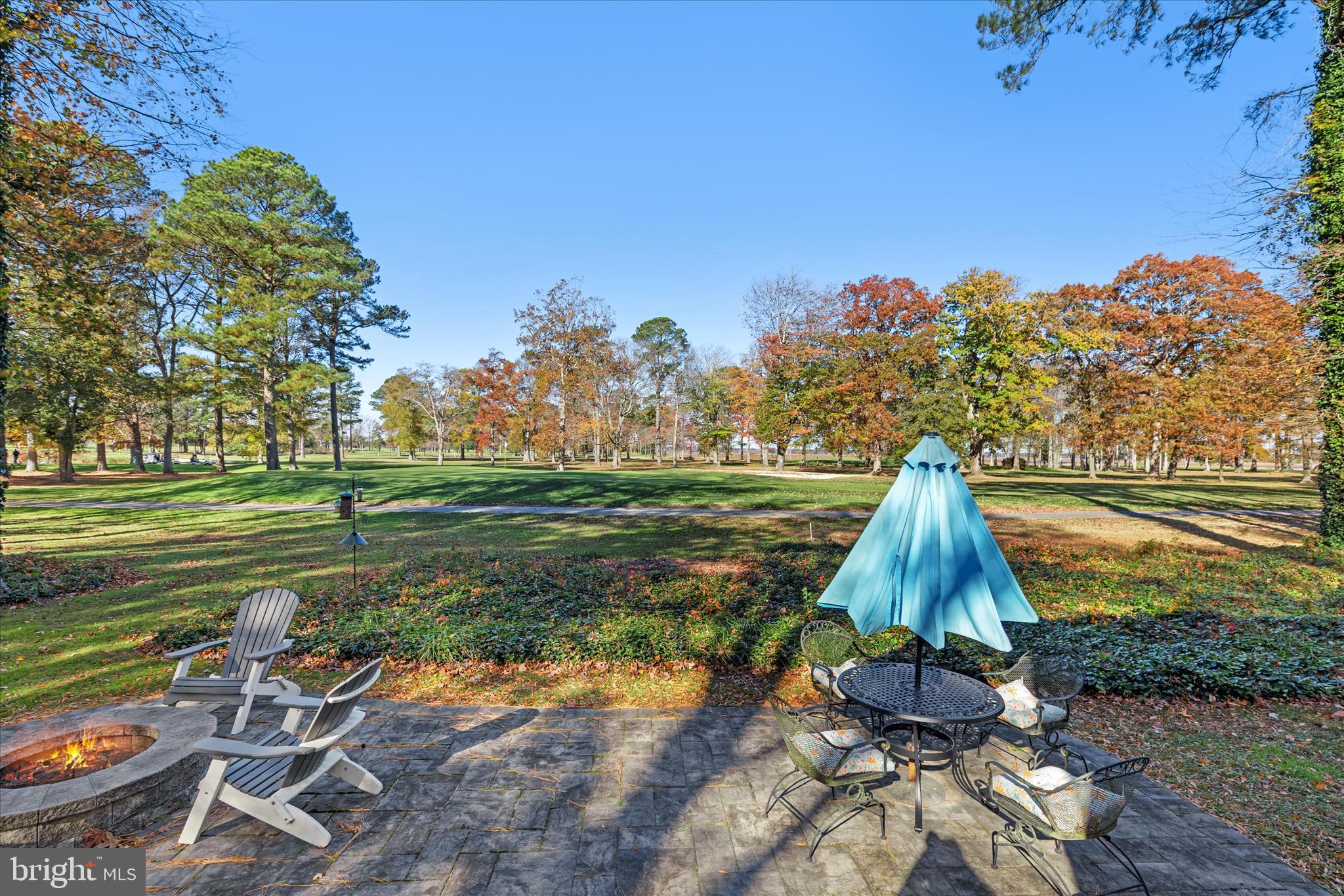 11518 Quillin Way Berlin, MD 21811 - Photo 64 of 65 a view of a park with plants and trees