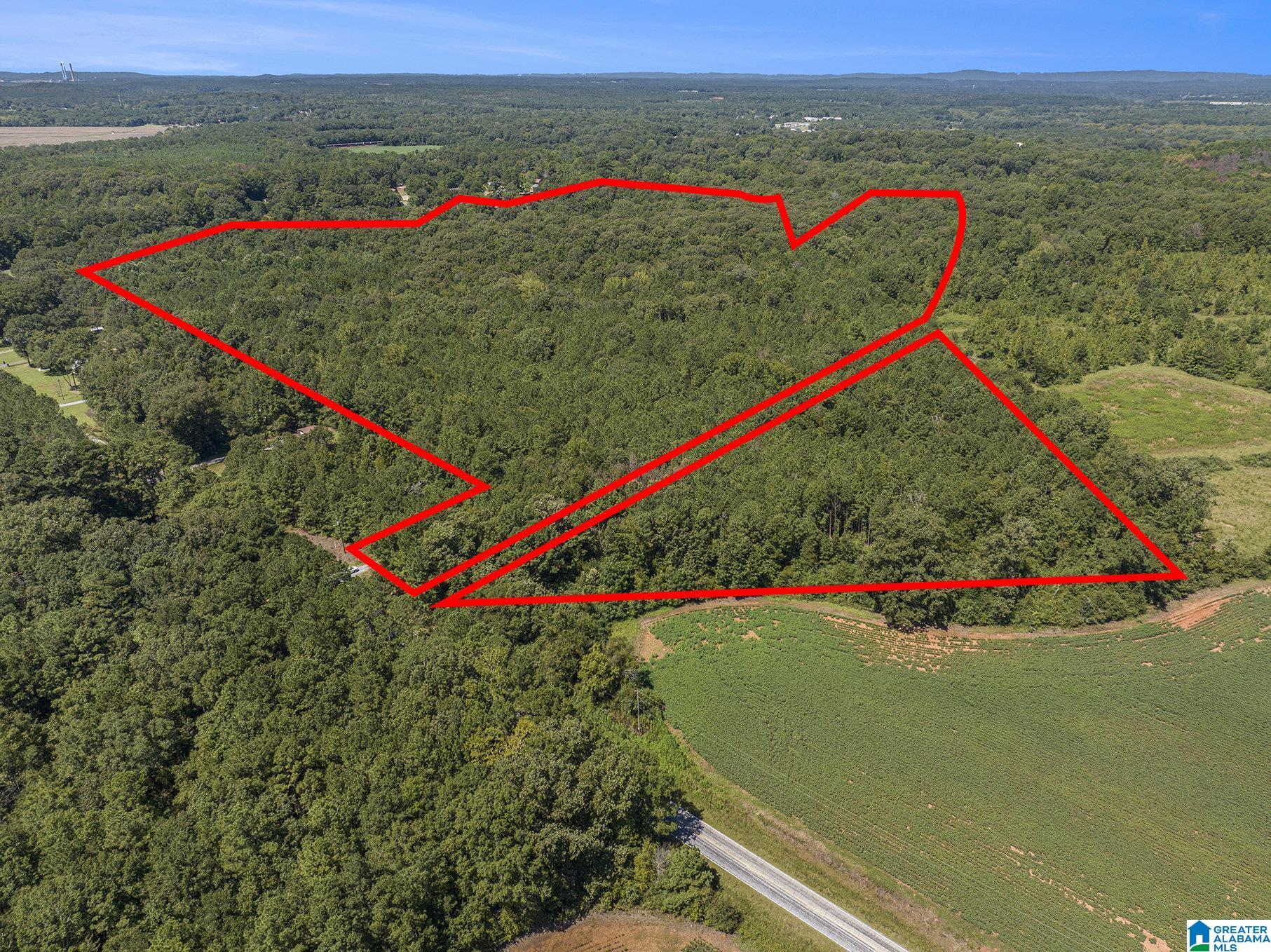 10614 Grist Mill Road, Unit 1 Childersburg, AL 35044 - Photo 3 of 9