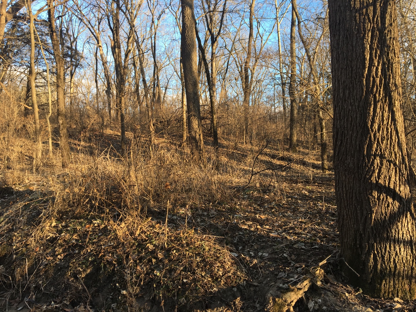 0 West Edgewood Road Dixon, IL 61021 - Photo 11 of 18 Gallery Image 11