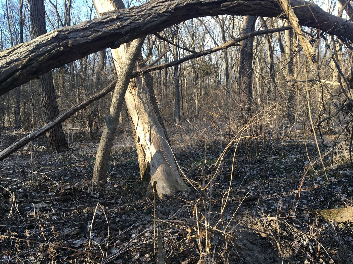 0 West Edgewood Road Dixon, IL 61021 - Photo 13 of 18 Gallery Image 13