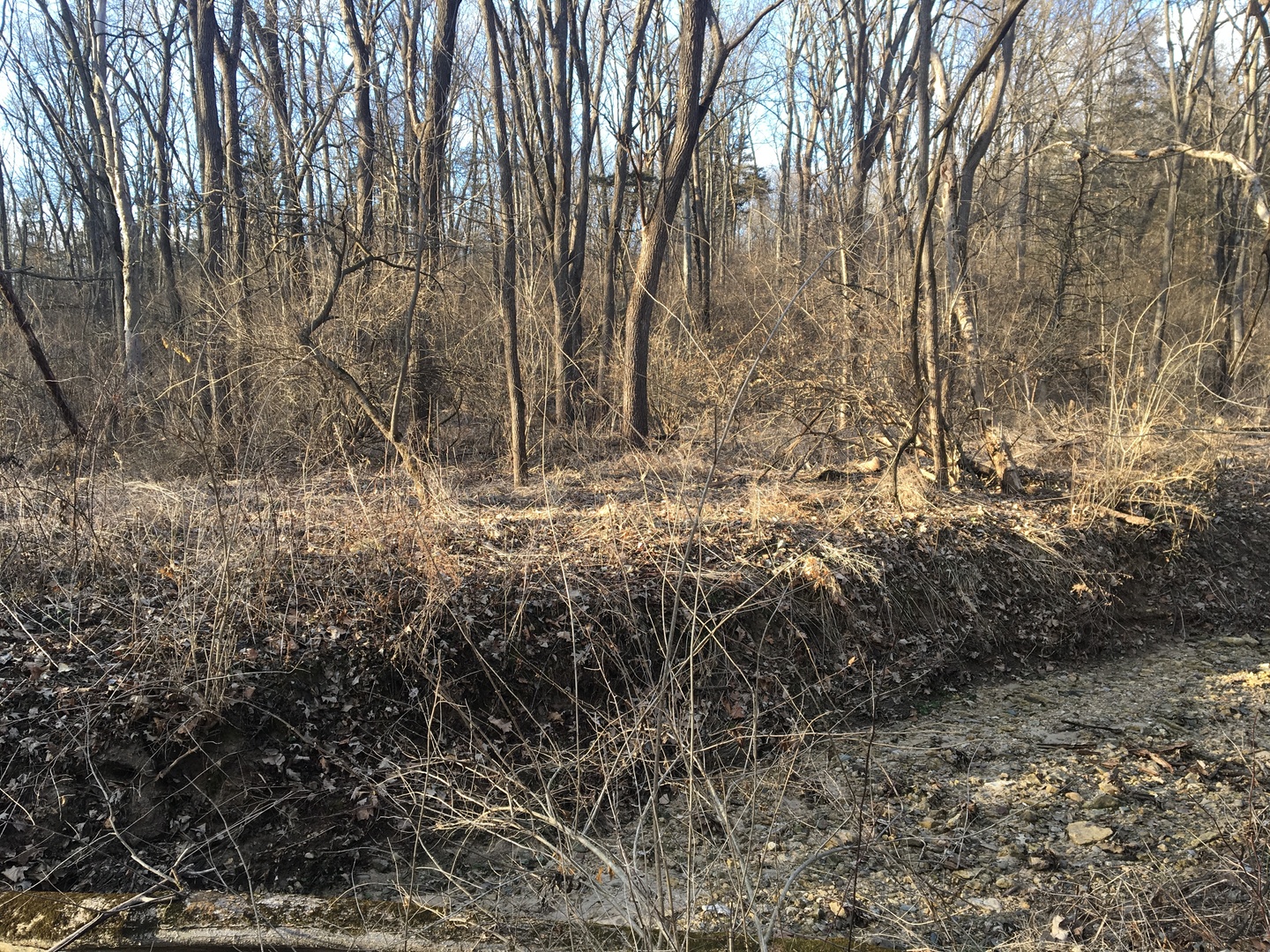 0 West Edgewood Road Dixon, IL 61021 - Photo 10 of 18 Gallery Image 10