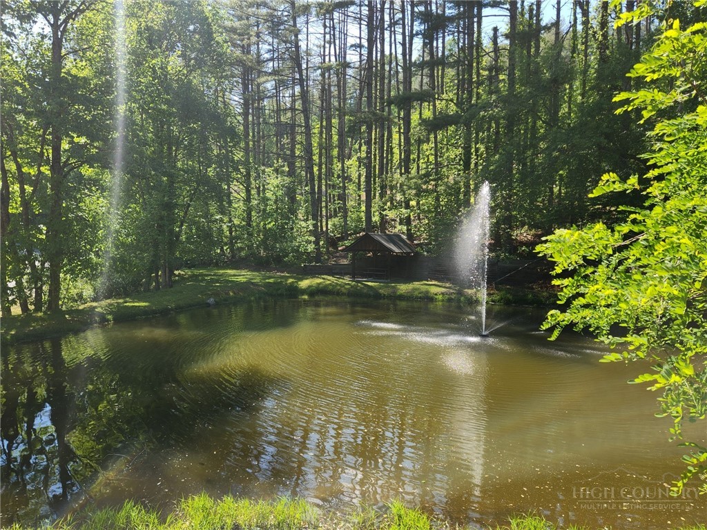 149 River Spring Road Sugar Grove, NC 28679 - Photo 25 of 38