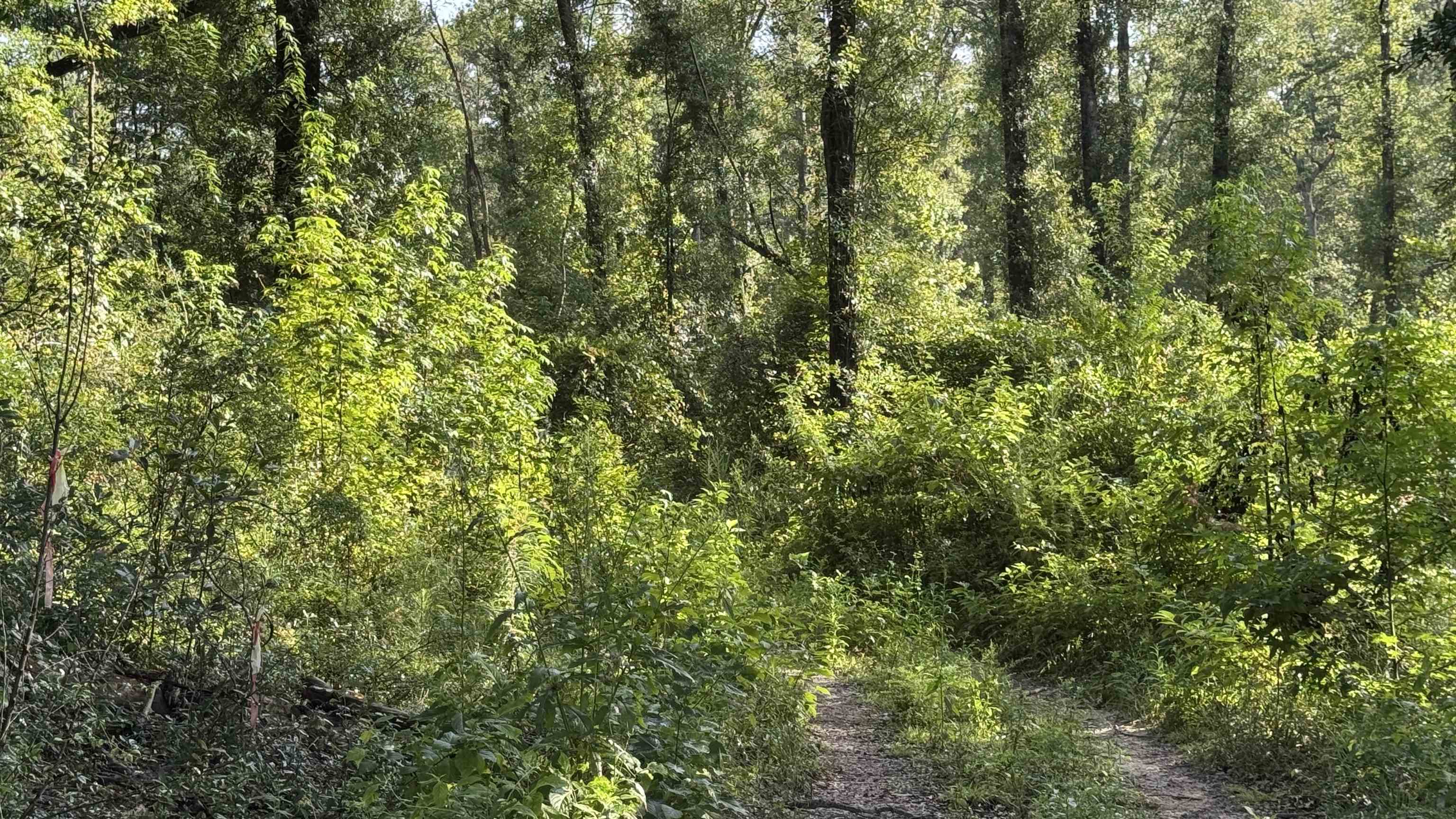 1050 Cedar Creek Landing Road Mount Vernon, AL 36560 - Photo 50 of 59 View
