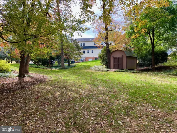 a view of a backyard with large trees