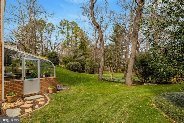 a view of a field with plants and trees in the background