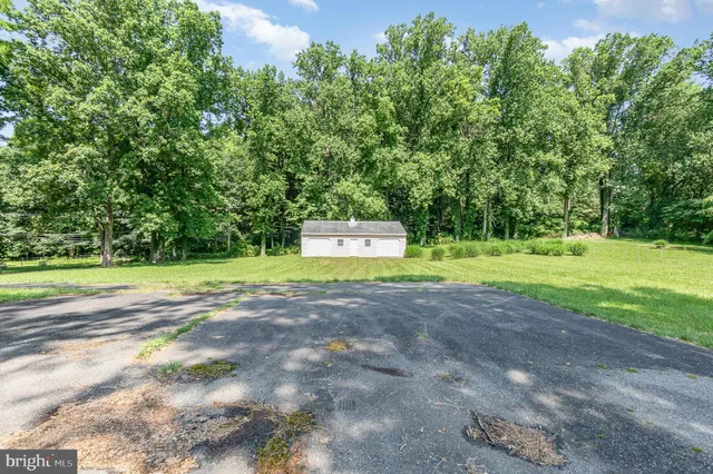 a view of a tree in a yard with a house