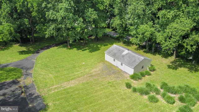 a view of a garden with a bench