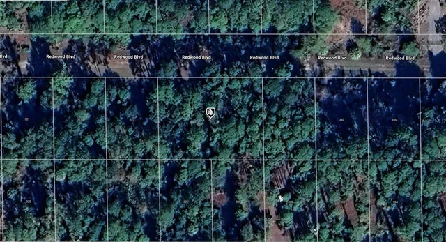 a view of a yard and lots of trees