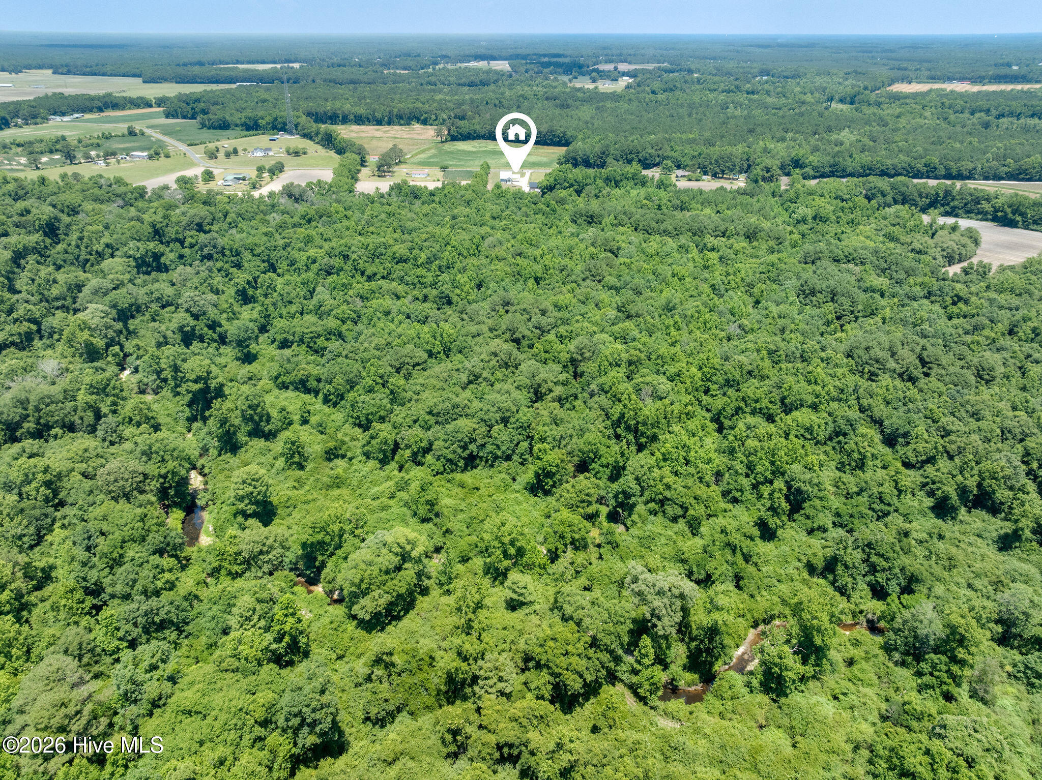 424 Jimmy Tate Williams Road Beulaville, NC 28518 - Photo 45 of 50