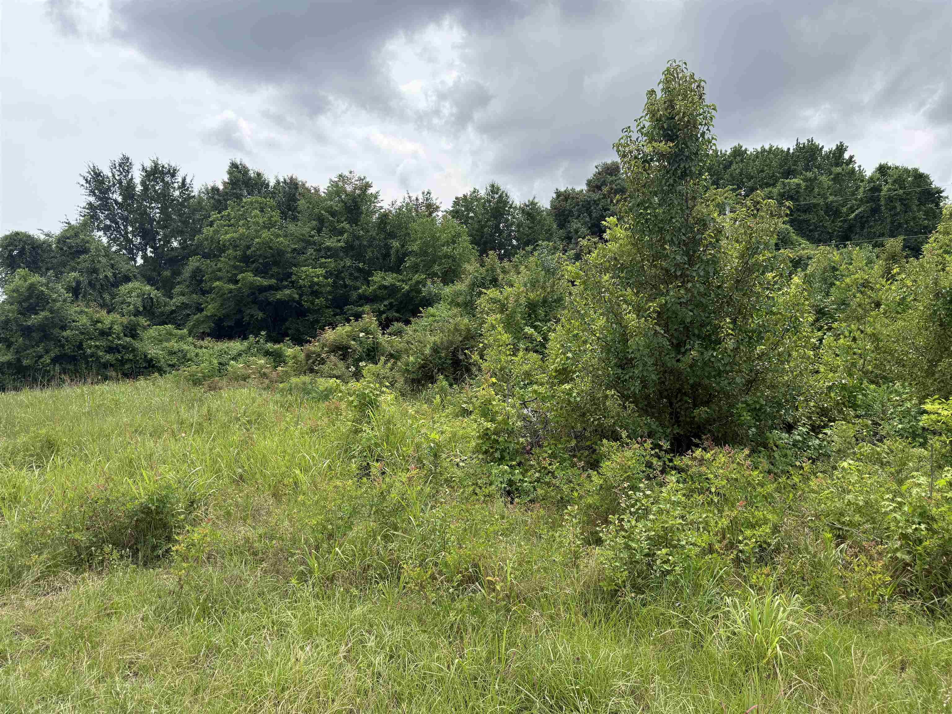 0 Wilson Road Memphis, TN 38116 - Photo 4 of 5 Gallery Image 4