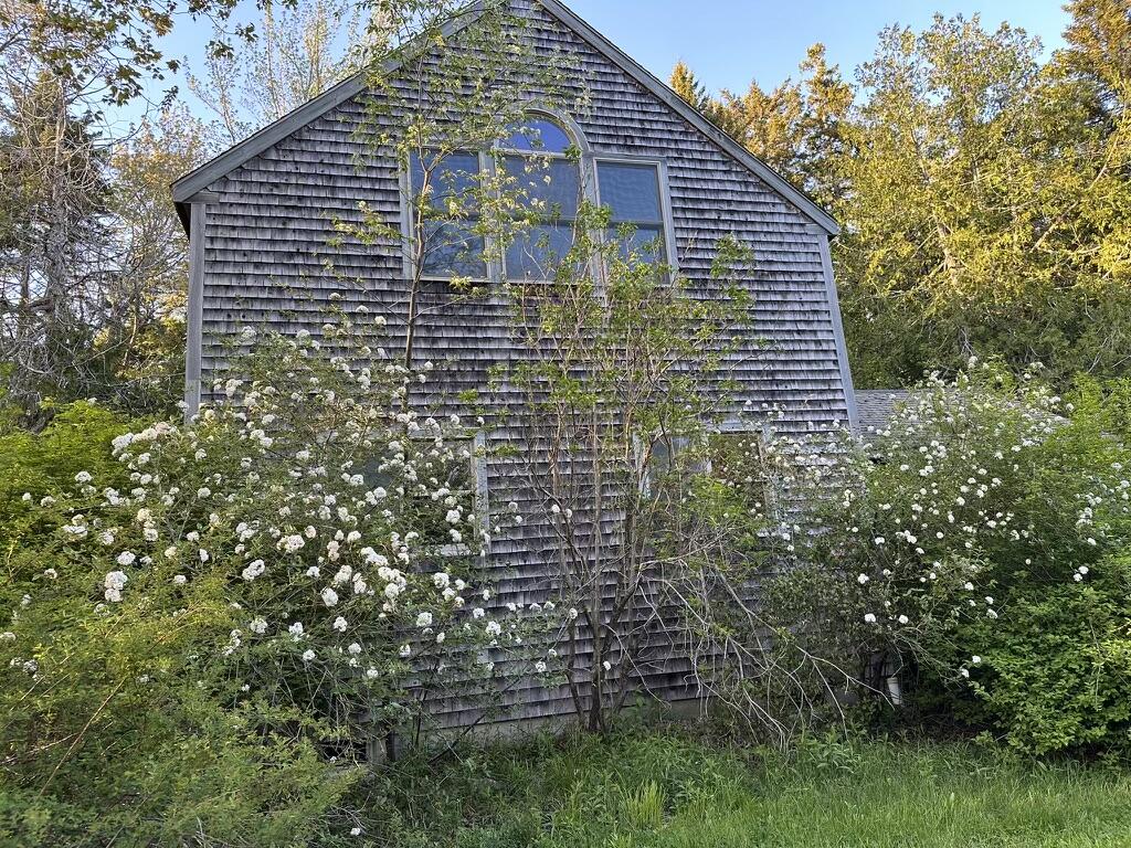 496 Old County Road Sedgwick, ME 04676 - Photo 54 of 65 Barn side4