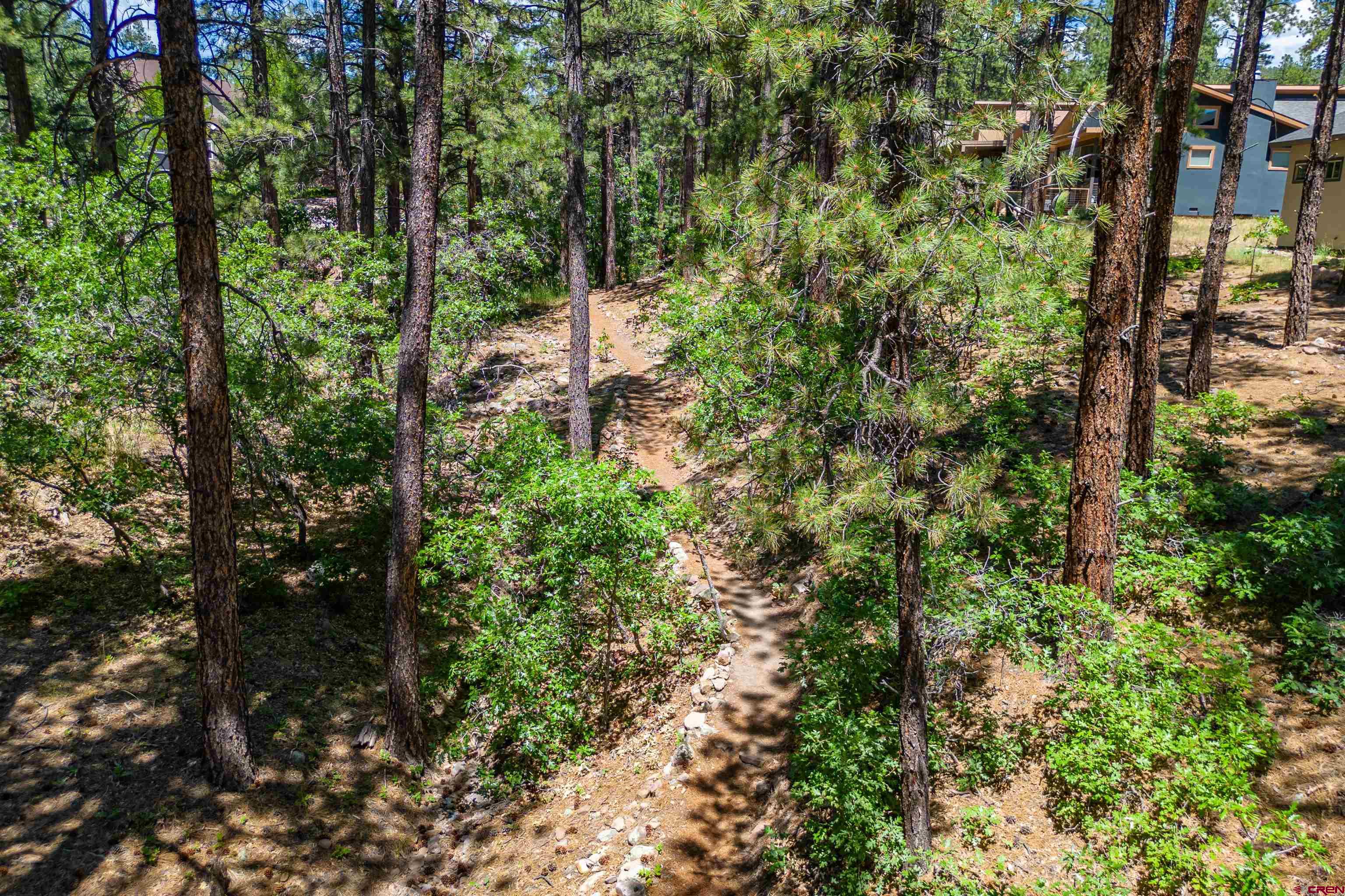 324 Hay Barn Road Durango, CO 81301 - Photo 17 of 35 a view of a garden with plants