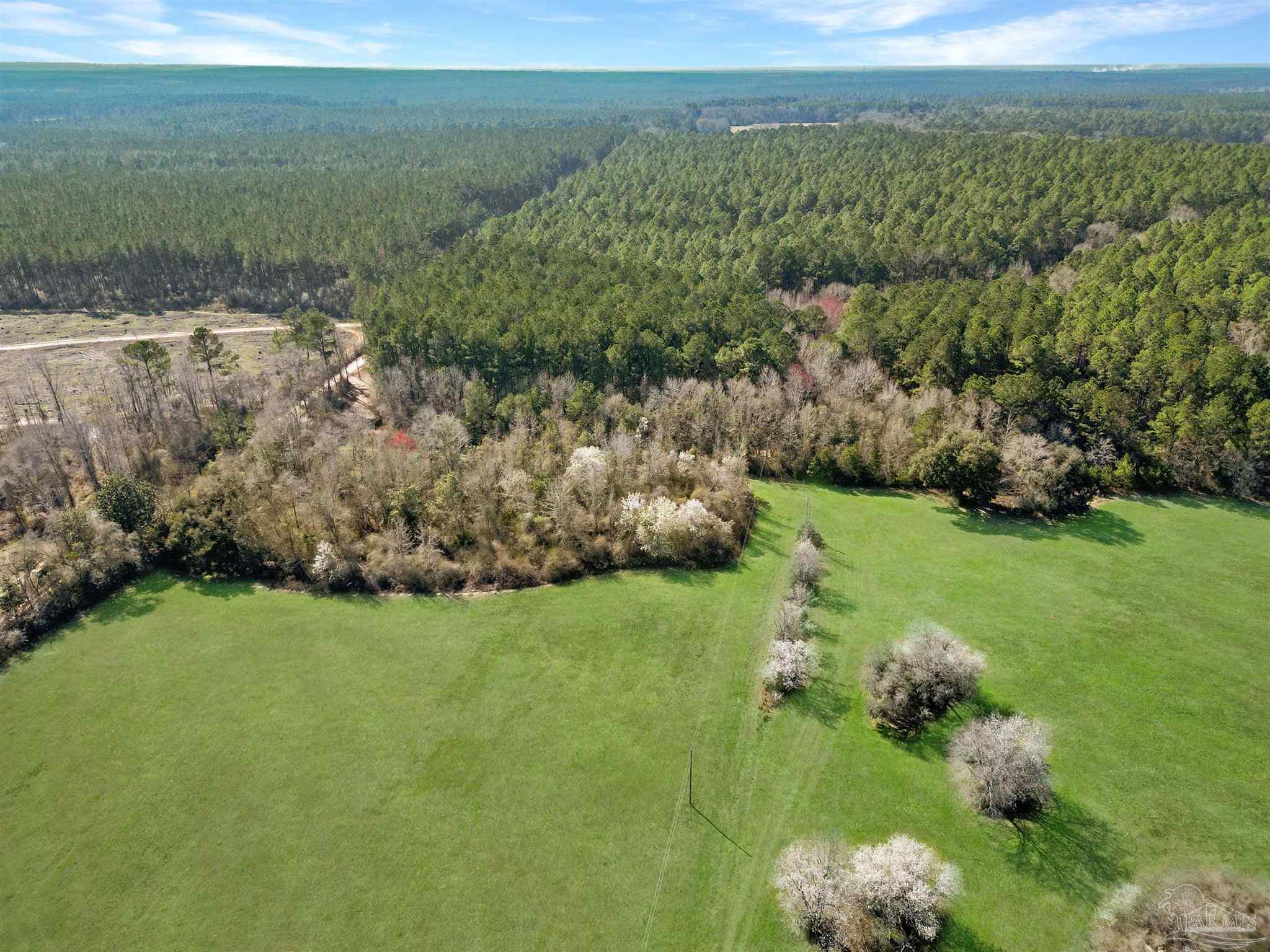 4343 East Plympton Road Laurel Hill, FL 32567 - Photo 25 of 60