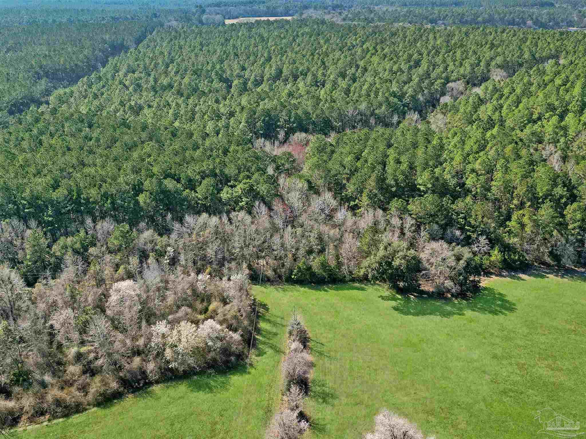 4343 East Plympton Road Laurel Hill, FL 32567 - Photo 26 of 60