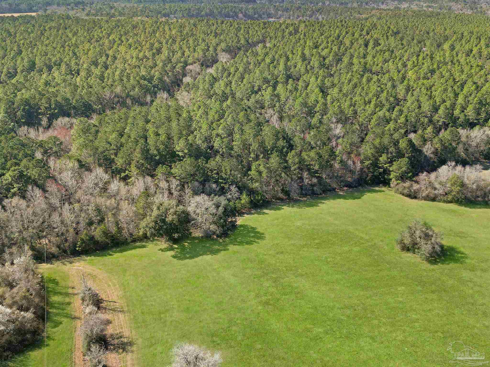 4343 East Plympton Road Laurel Hill, FL 32567 - Photo 27 of 60