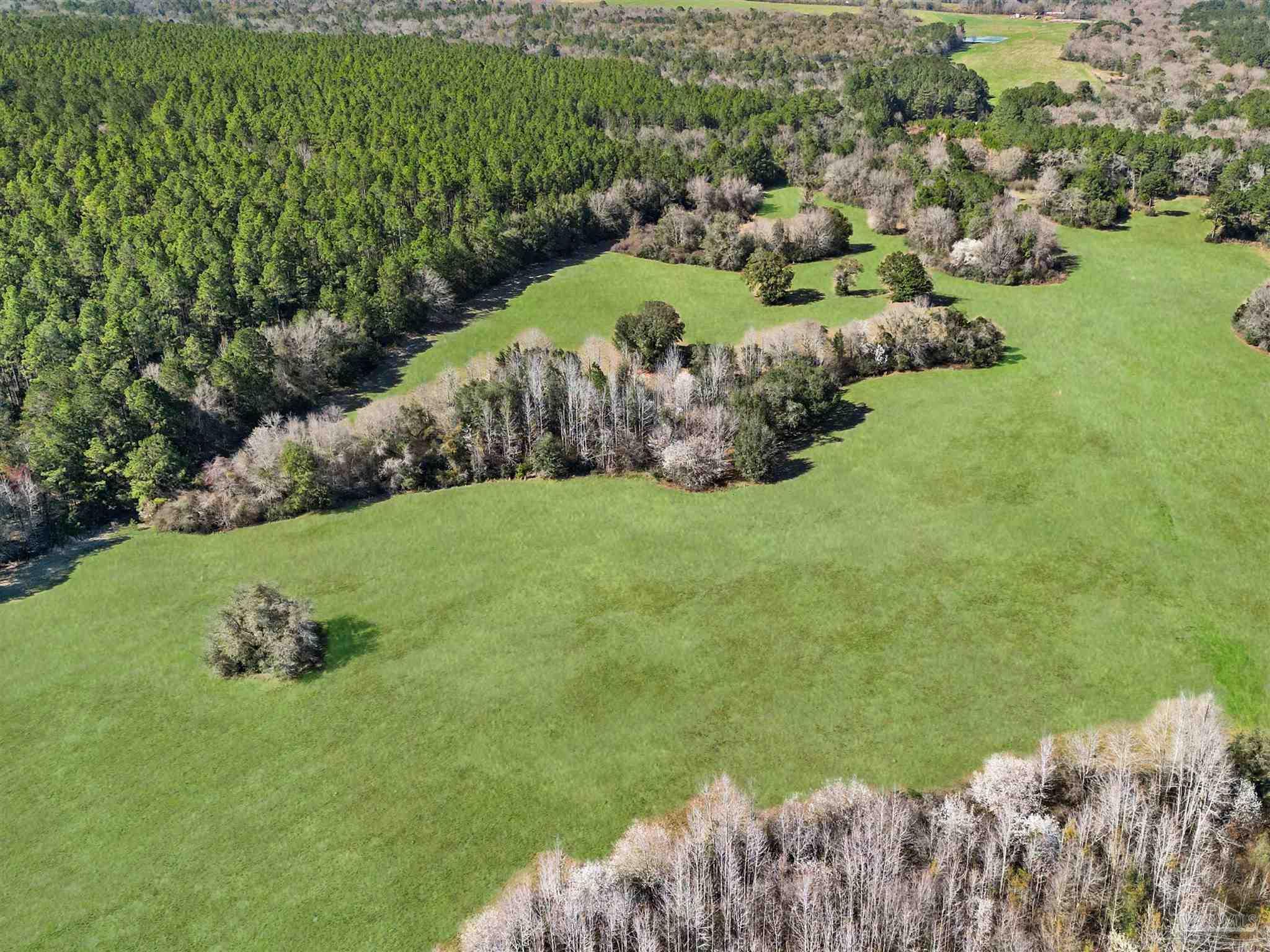 4343 East Plympton Road Laurel Hill, FL 32567 - Photo 28 of 60