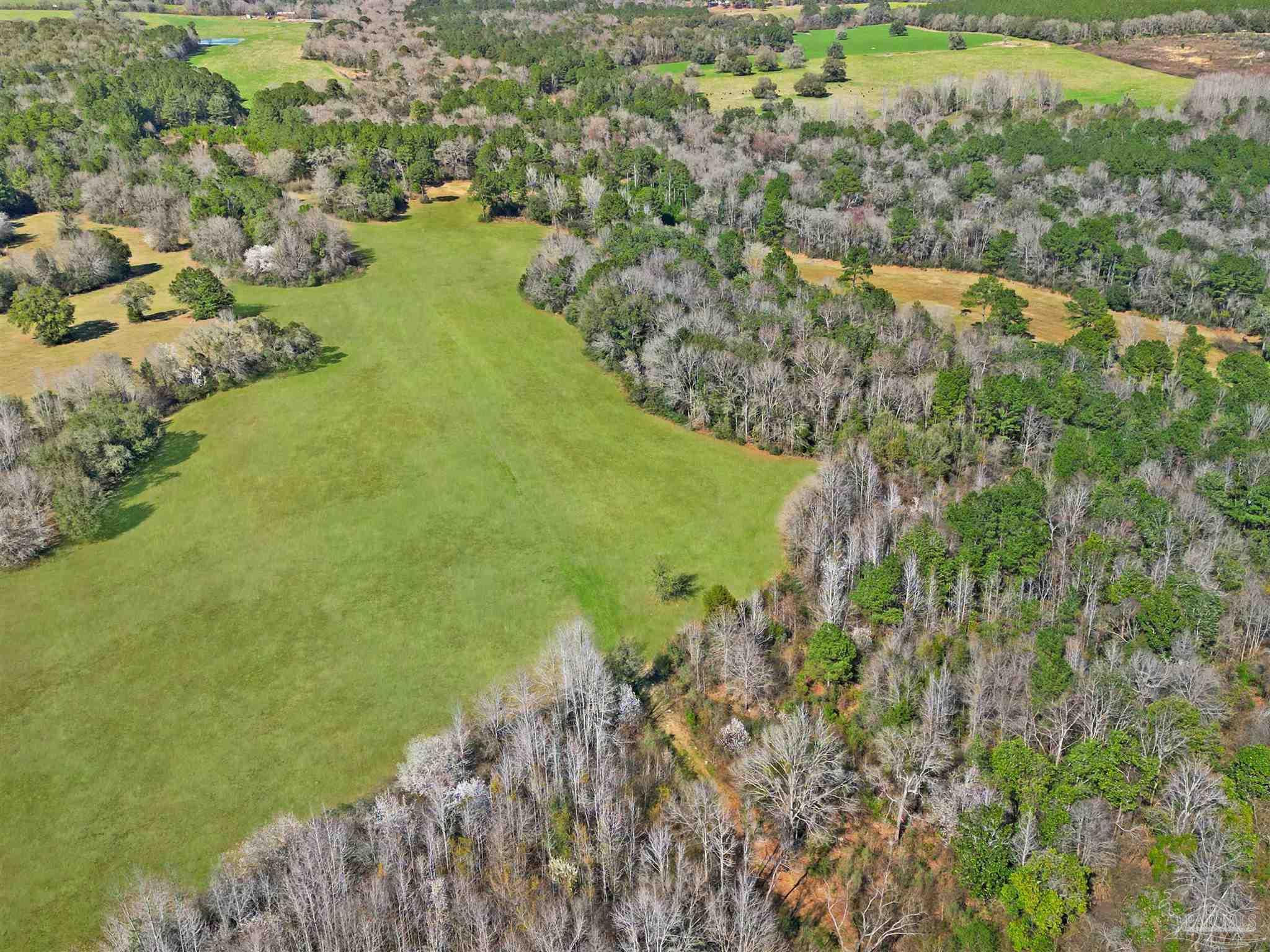 4343 East Plympton Road Laurel Hill, FL 32567 - Photo 29 of 60