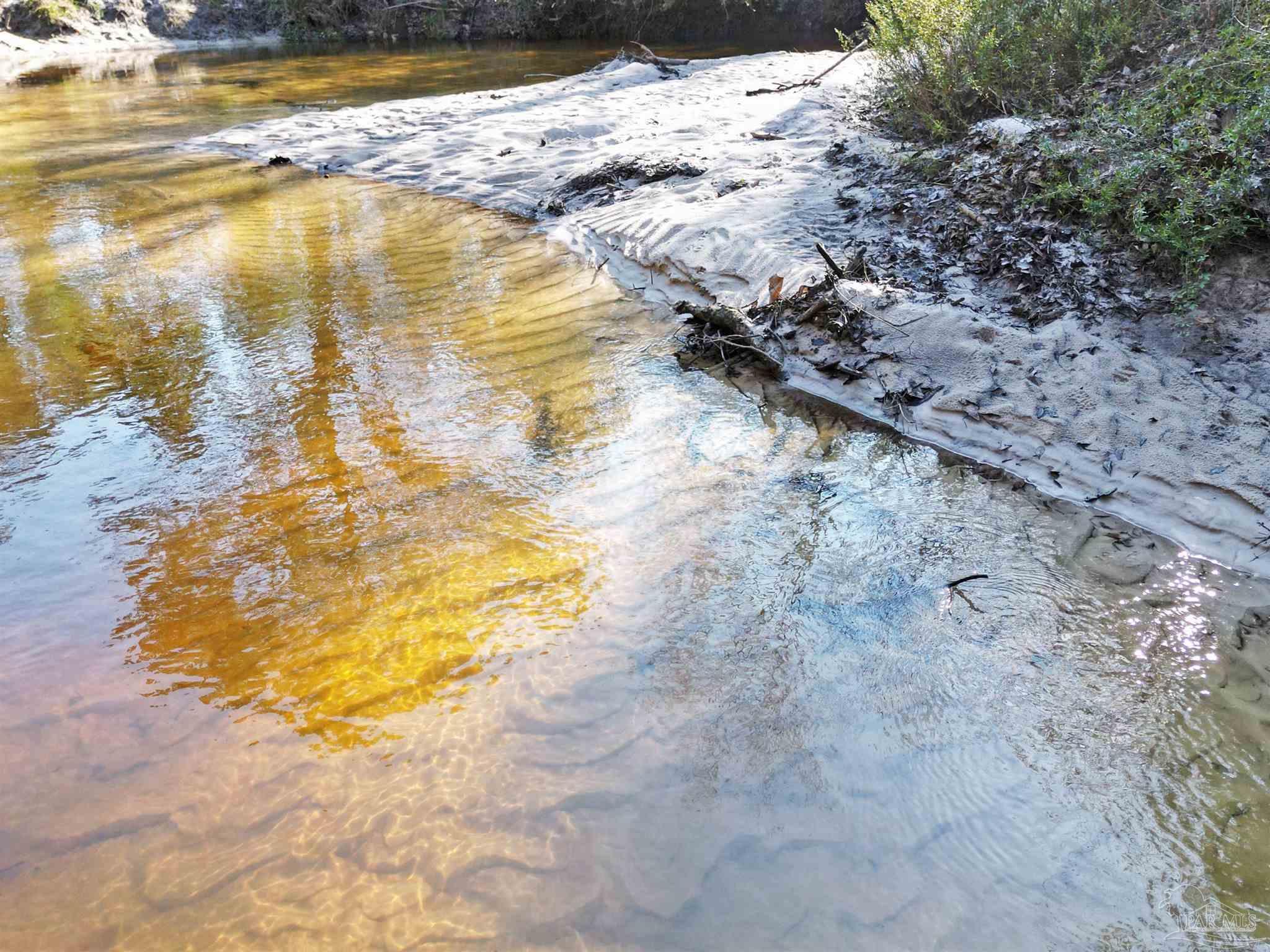 4343 East Plympton Road Laurel Hill, FL 32567 - Photo 3 of 60