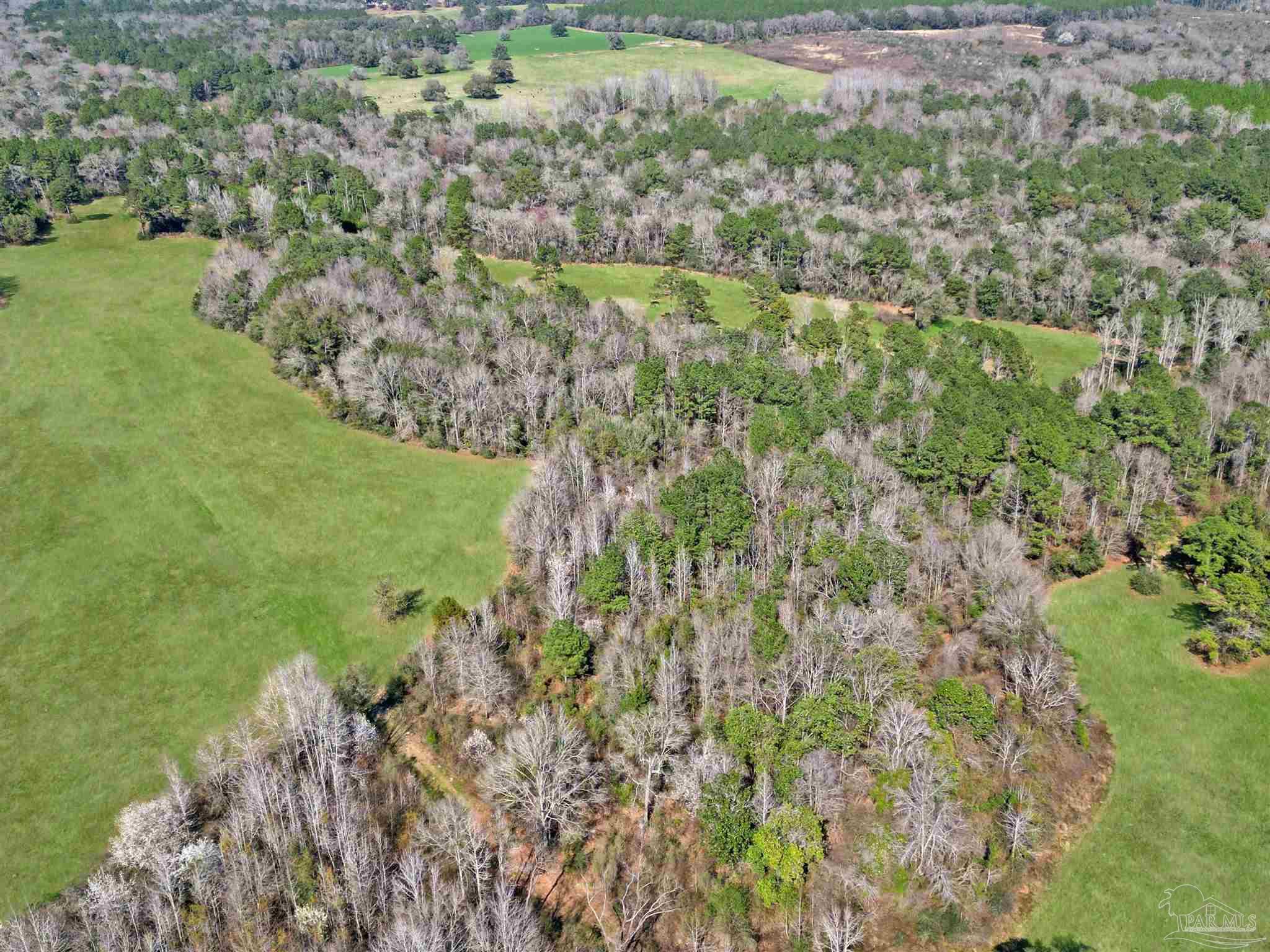 4343 East Plympton Road Laurel Hill, FL 32567 - Photo 31 of 60