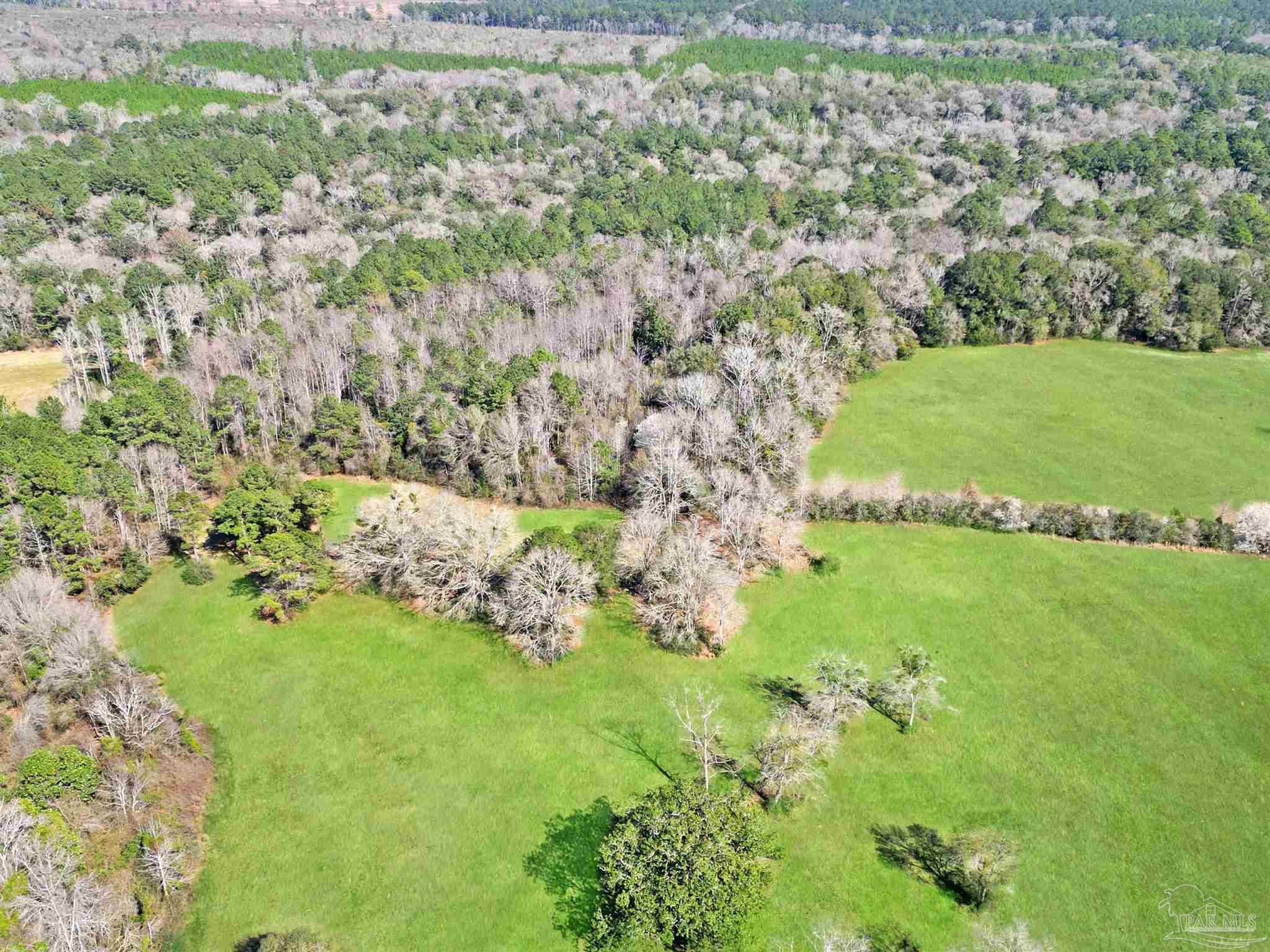 4343 East Plympton Road Laurel Hill, FL 32567 - Photo 32 of 60