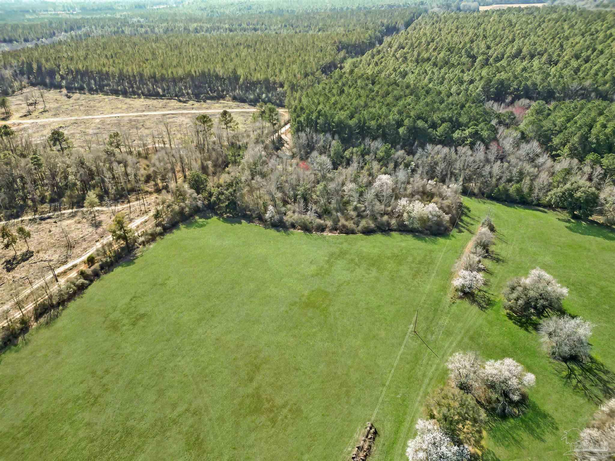 4343 East Plympton Road Laurel Hill, FL 32567 - Photo 34 of 60