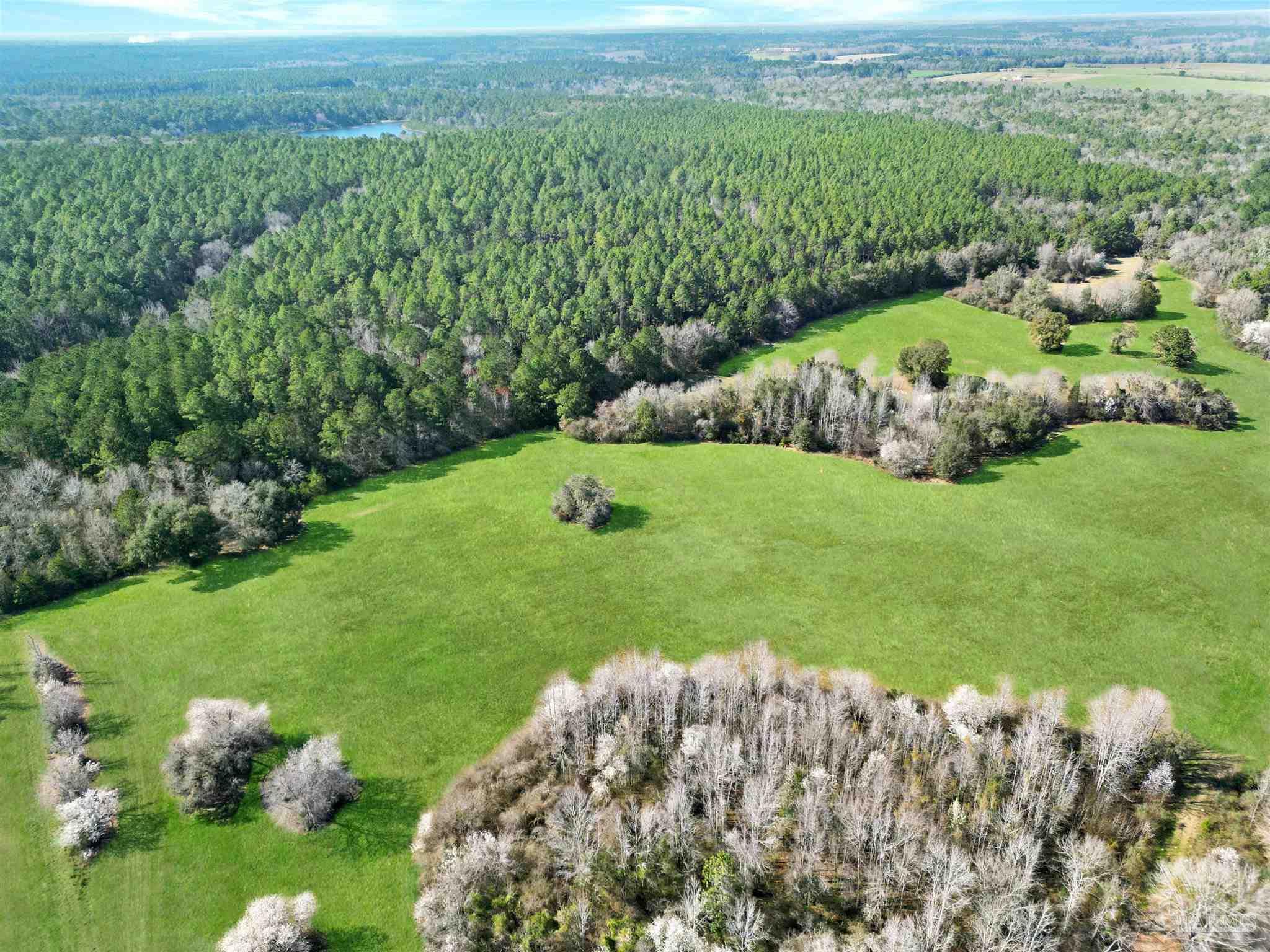 4343 East Plympton Road Laurel Hill, FL 32567 - Photo 35 of 60