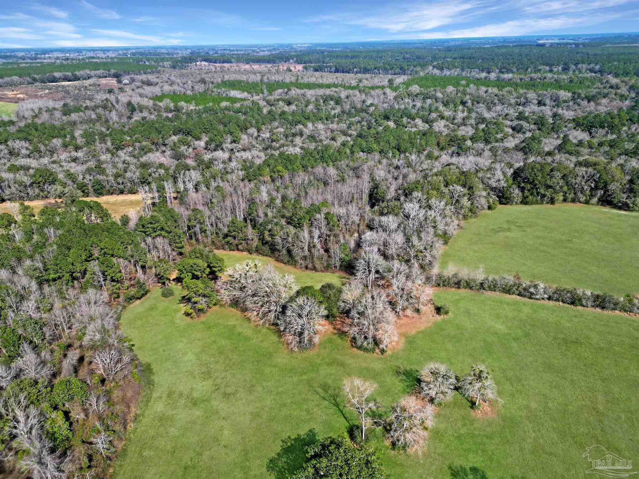 4343 East Plympton Road Laurel Hill, FL 32567 - Photo 36 of 60