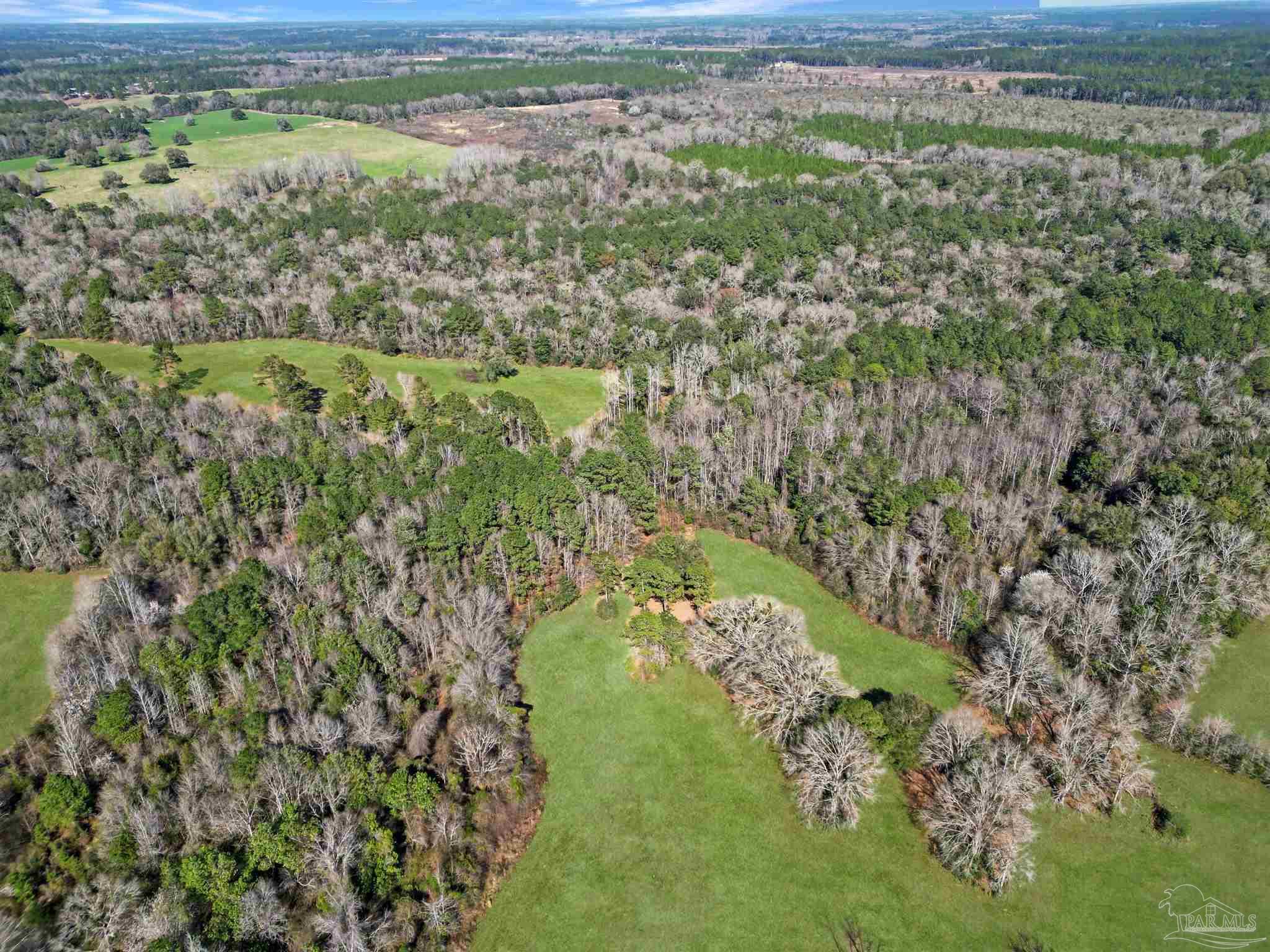 4343 East Plympton Road Laurel Hill, FL 32567 - Photo 40 of 60