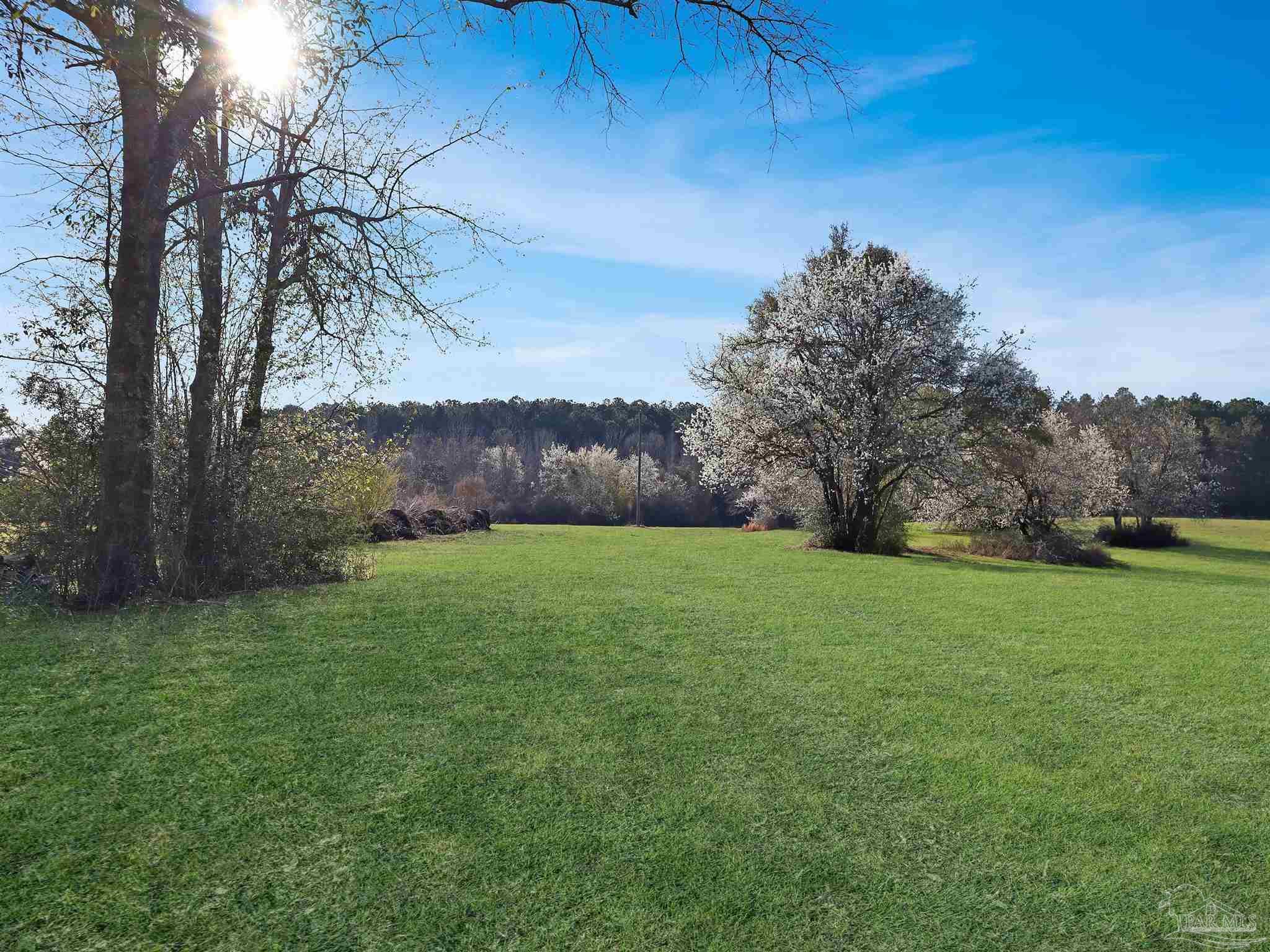 4343 East Plympton Road Laurel Hill, FL 32567 - Photo 4 of 60