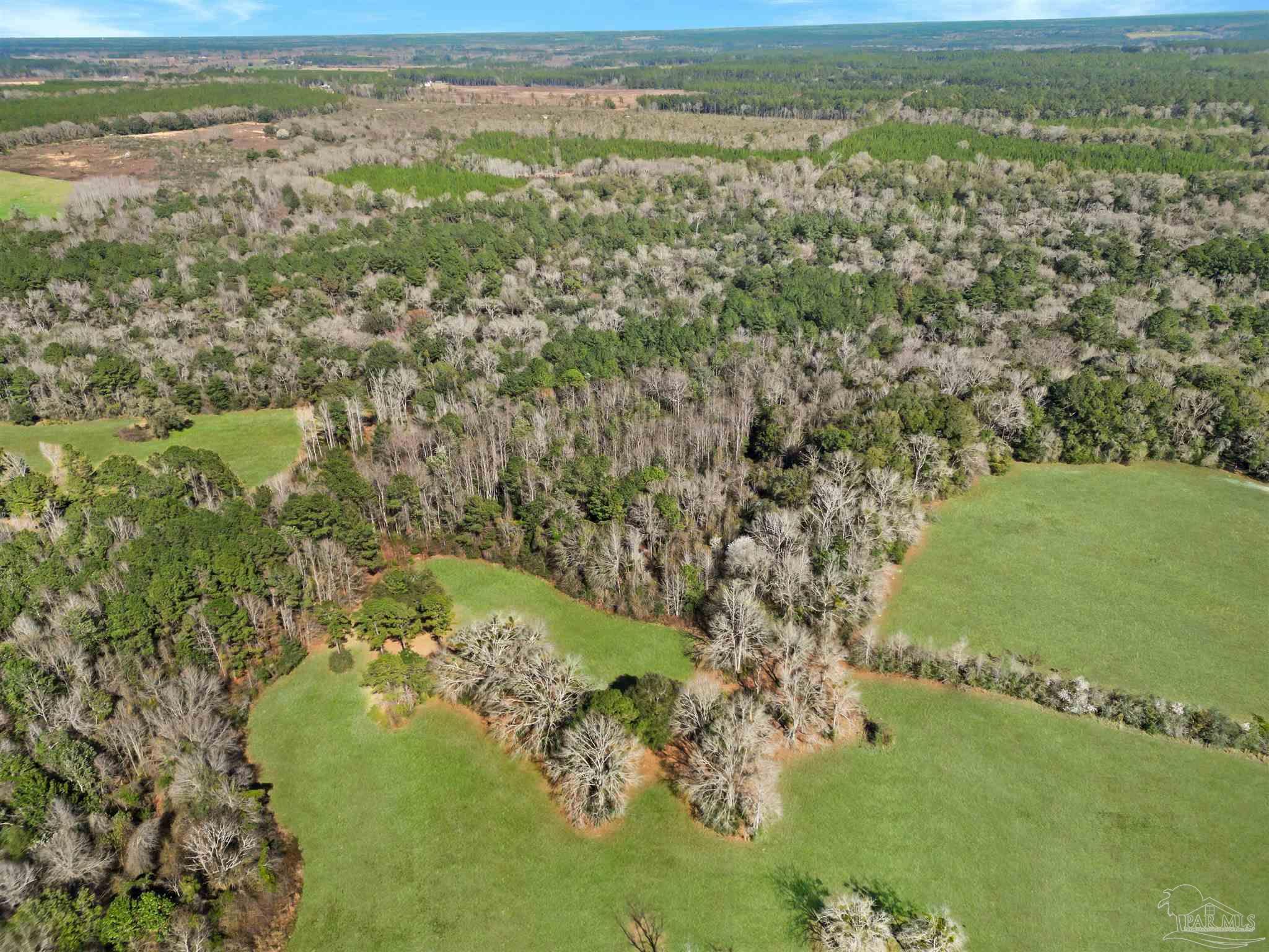 4343 East Plympton Road Laurel Hill, FL 32567 - Photo 41 of 60