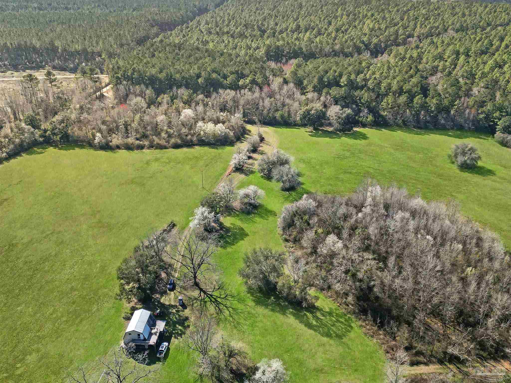 4343 East Plympton Road Laurel Hill, FL 32567 - Photo 42 of 60