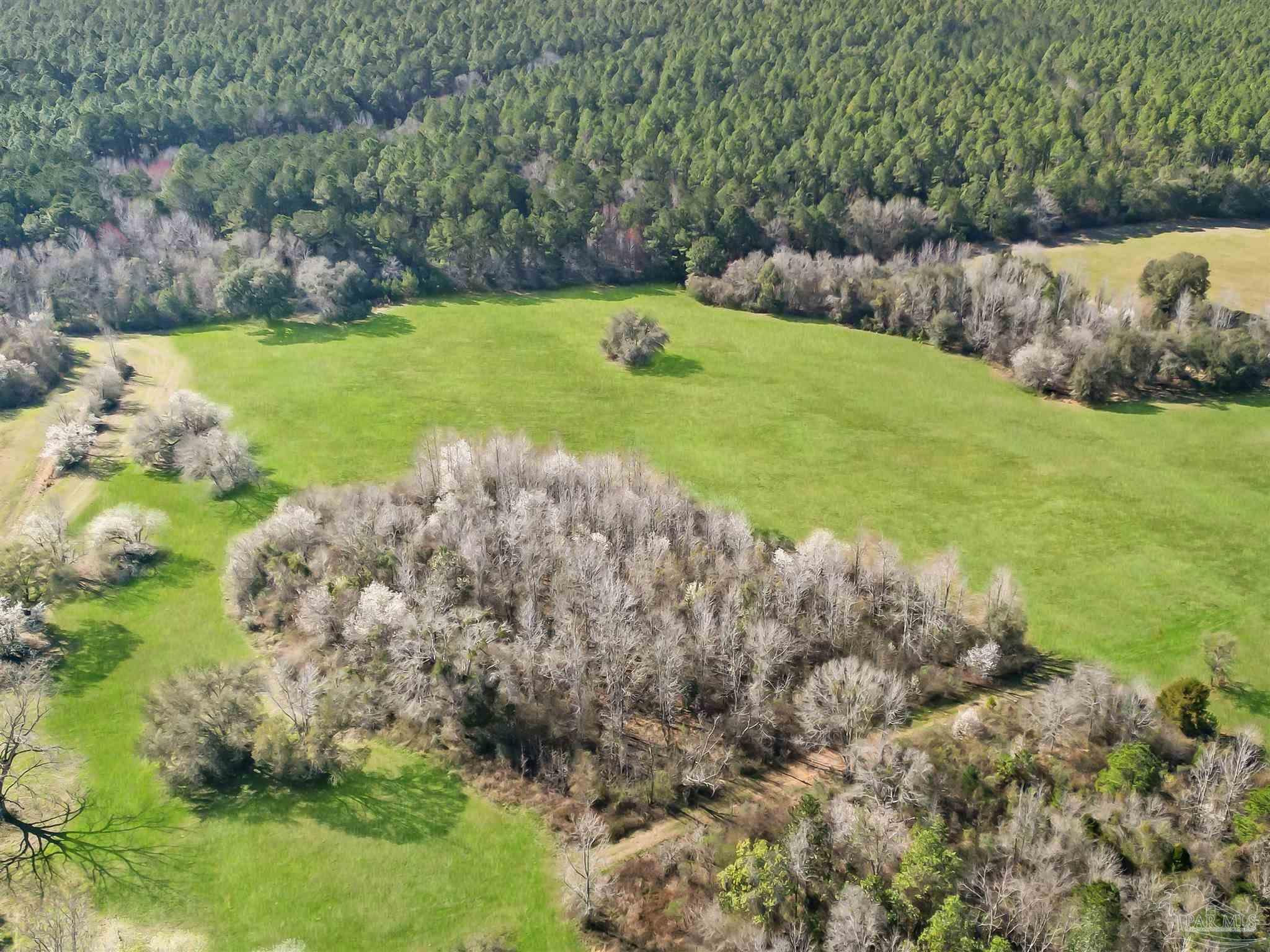 4343 East Plympton Road Laurel Hill, FL 32567 - Photo 43 of 60