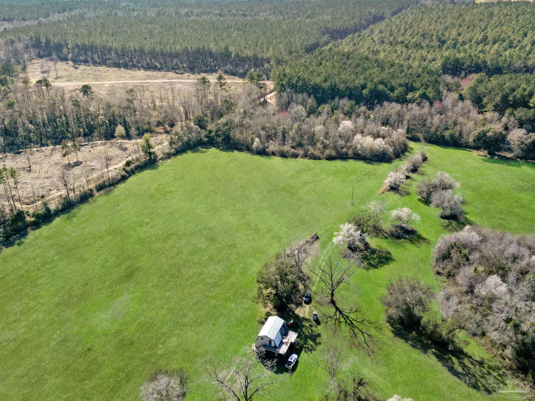 4343 East Plympton Road Laurel Hill, FL 32567 - Photo 44 of 60