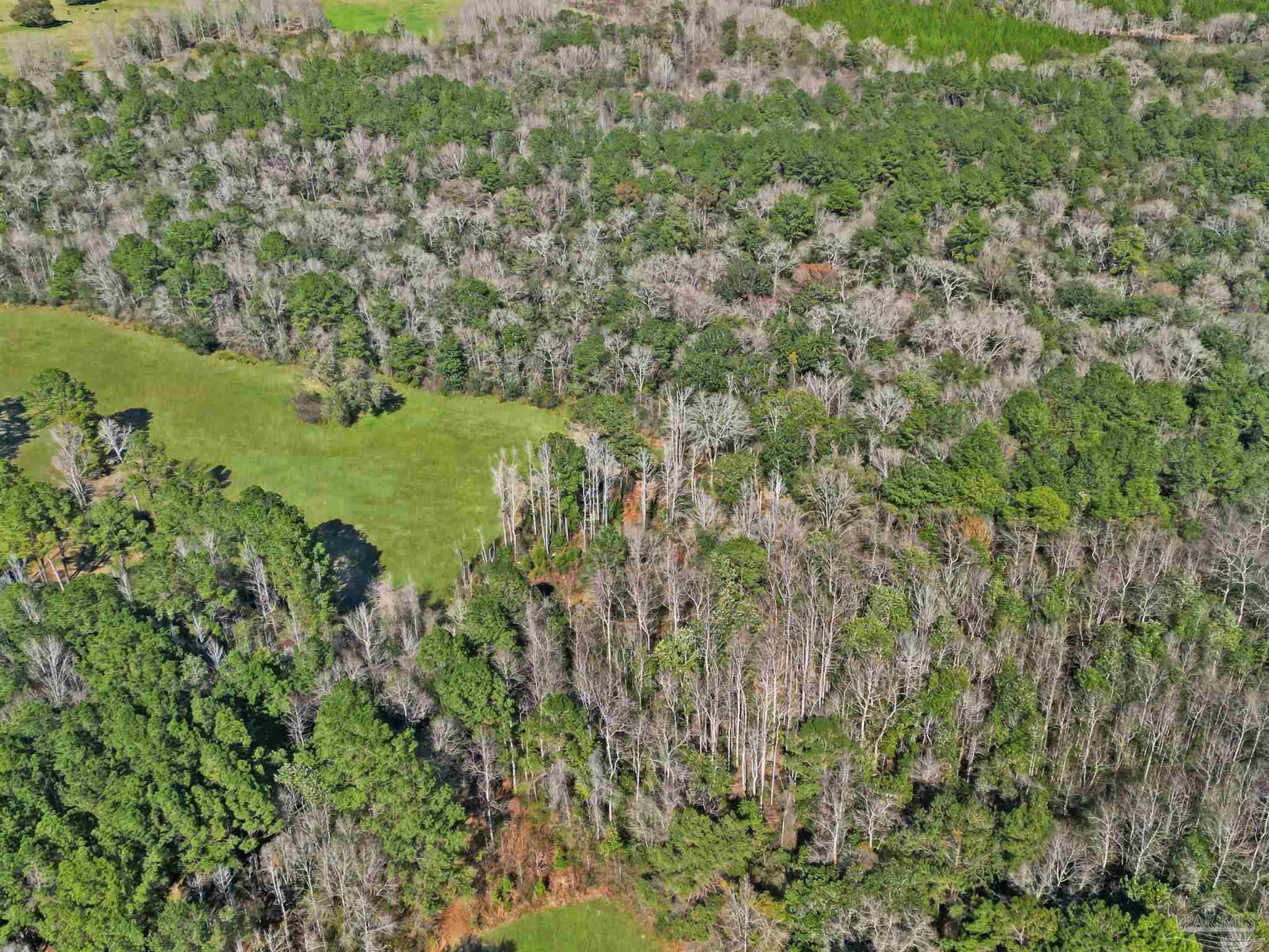 4343 East Plympton Road Laurel Hill, FL 32567 - Photo 46 of 60