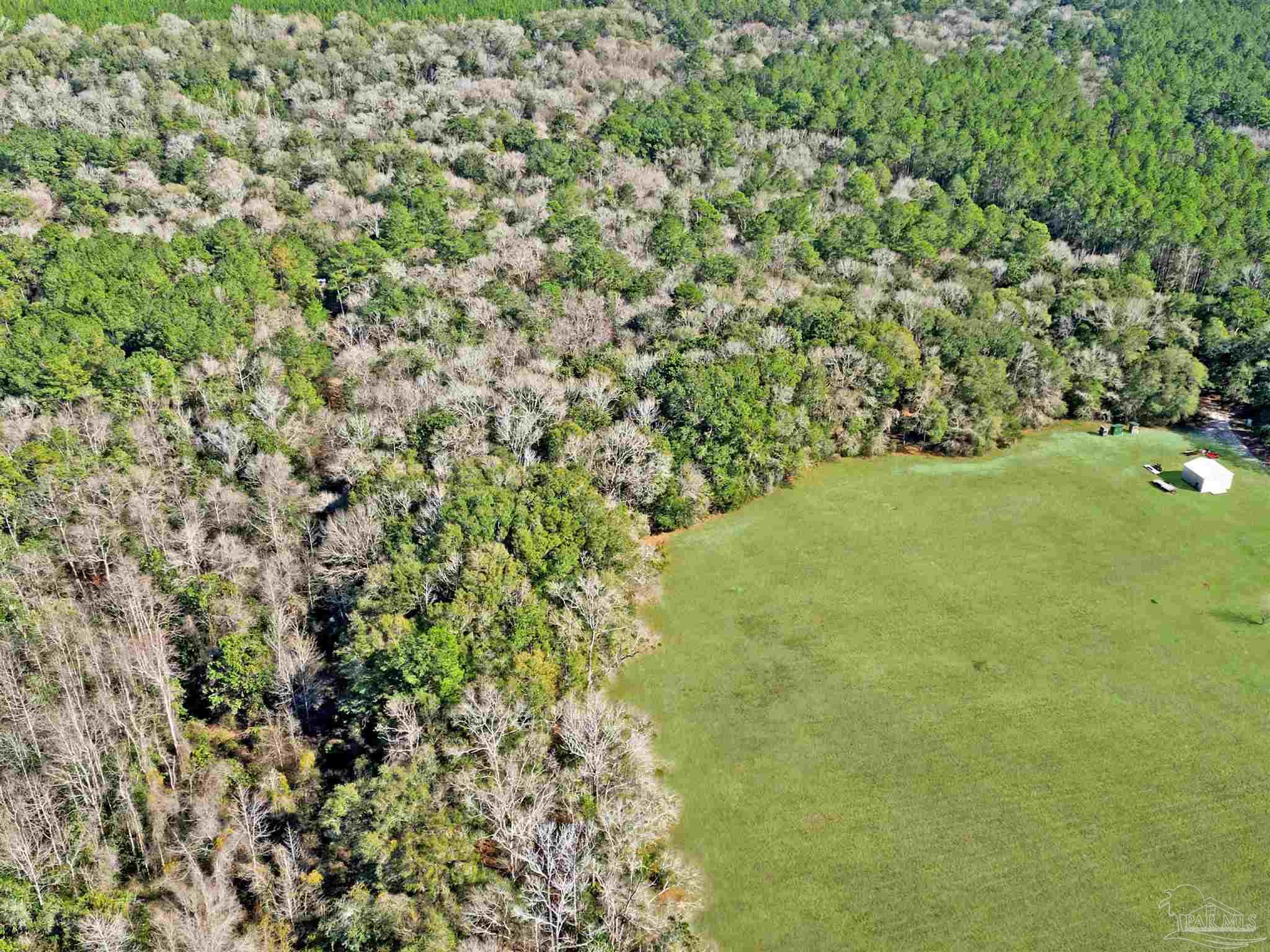 4343 East Plympton Road Laurel Hill, FL 32567 - Photo 47 of 60