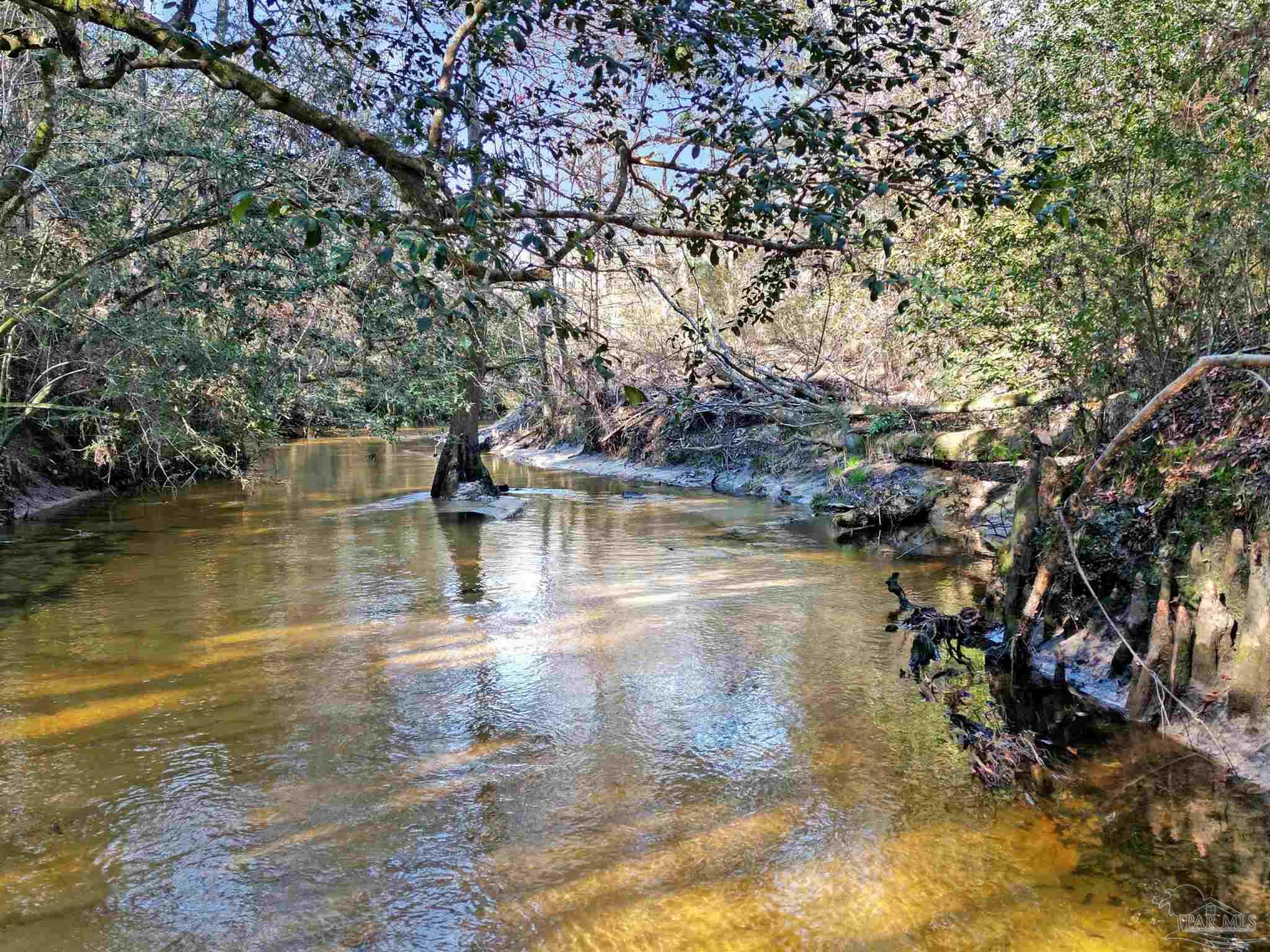 4343 East Plympton Road Laurel Hill, FL 32567 - Photo 48 of 60