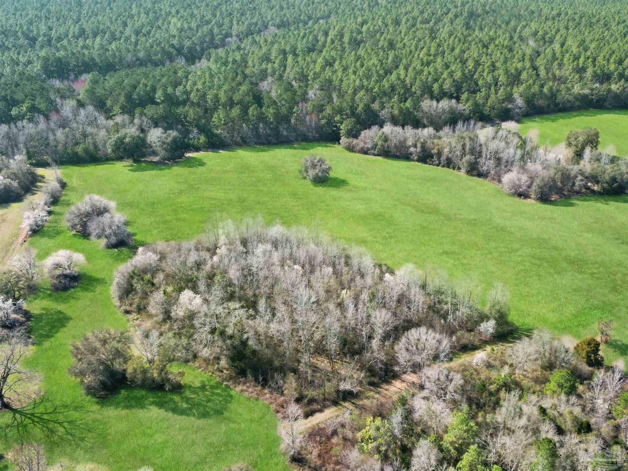 4343 East Plympton Road Laurel Hill, FL 32567 - Photo 50 of 60